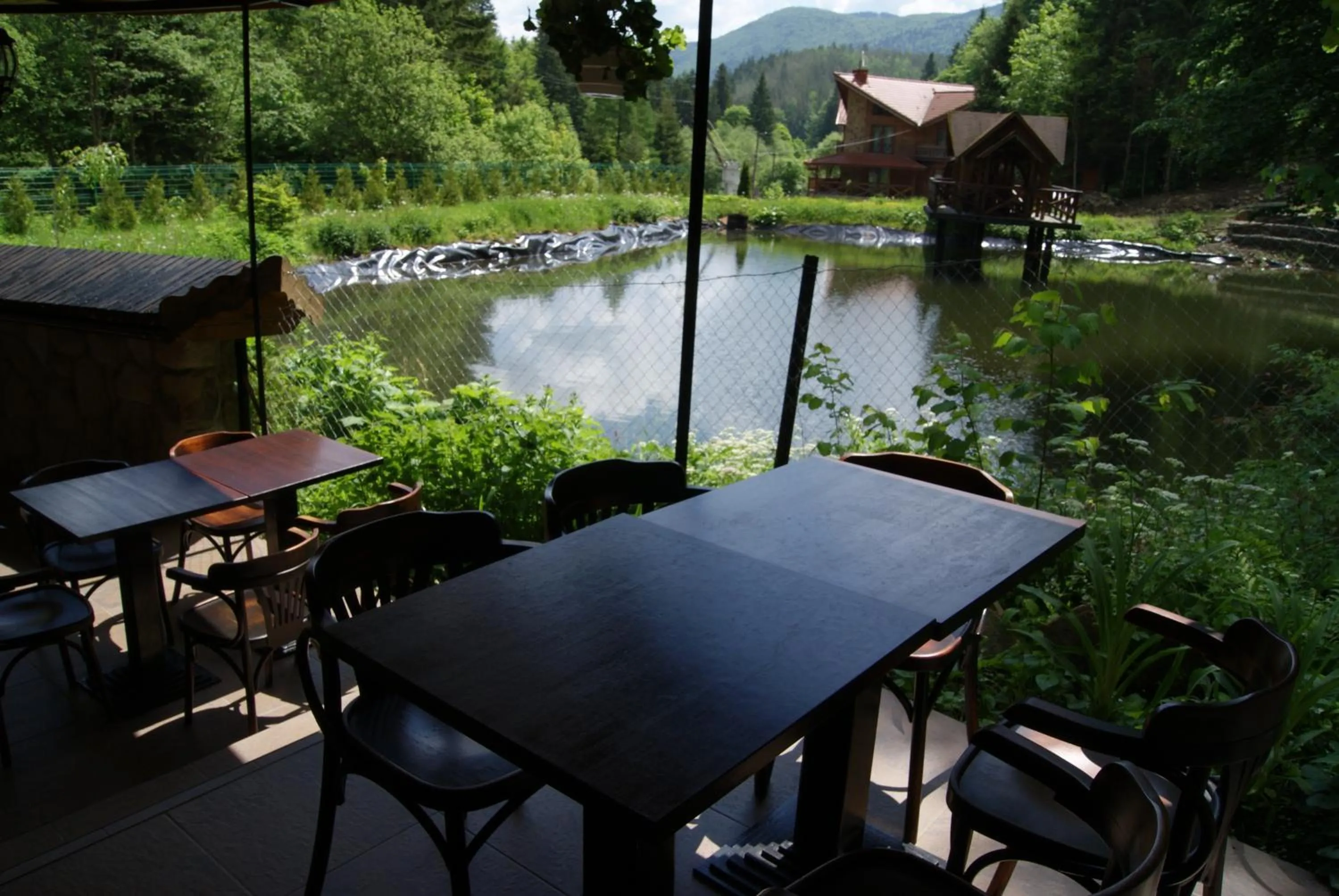 Restaurant/places to eat in Hotel Dykyi Med
