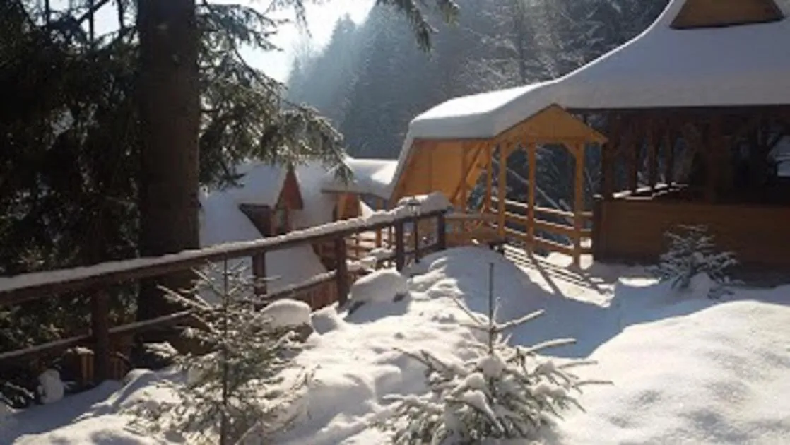 Winter in Hotel Dykyi Med