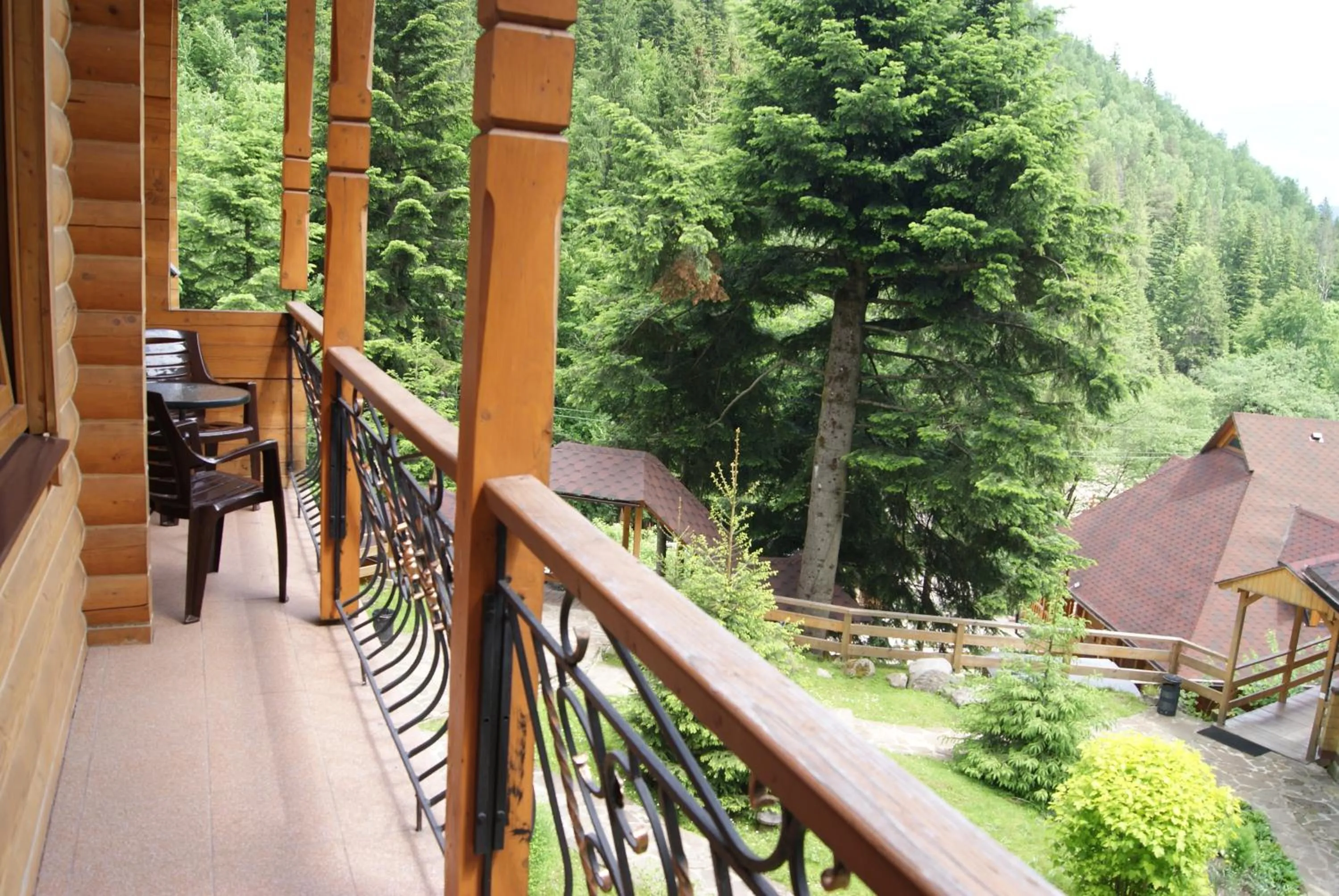 Balcony/Terrace in Hotel Dykyi Med