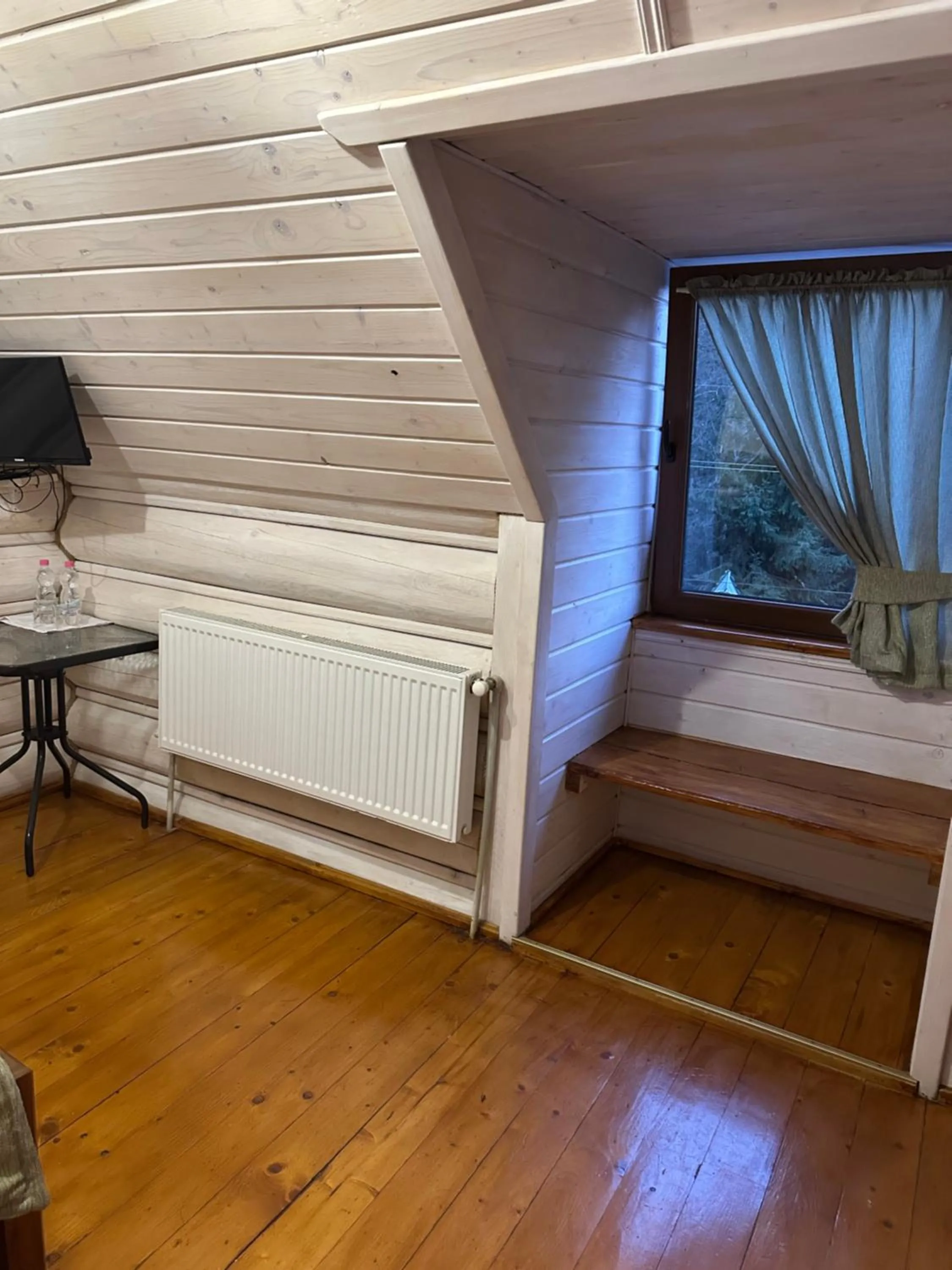 Photo of the whole room in Hotel Dykyi Med