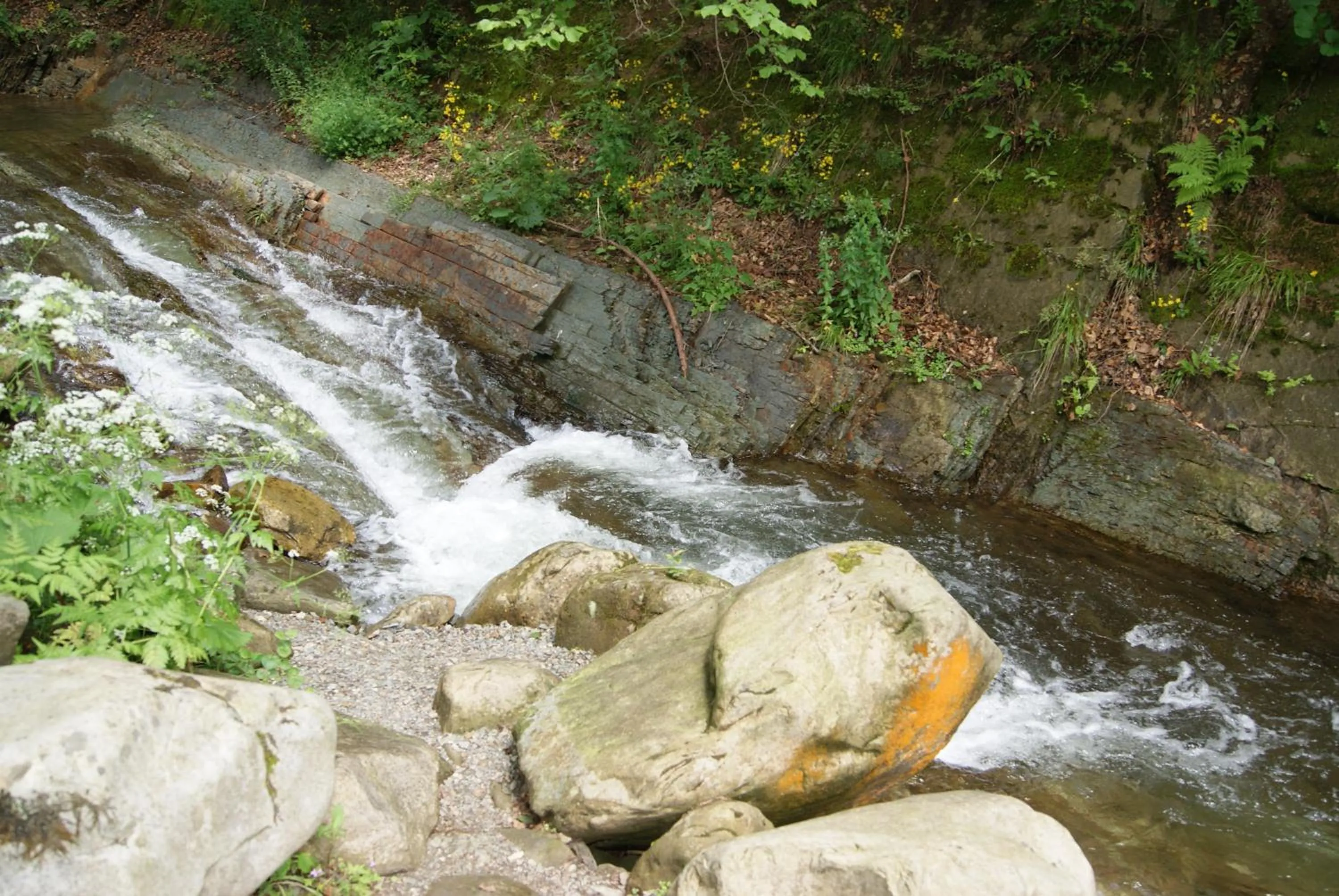 Natural landscape in Hotel Dykyi Med