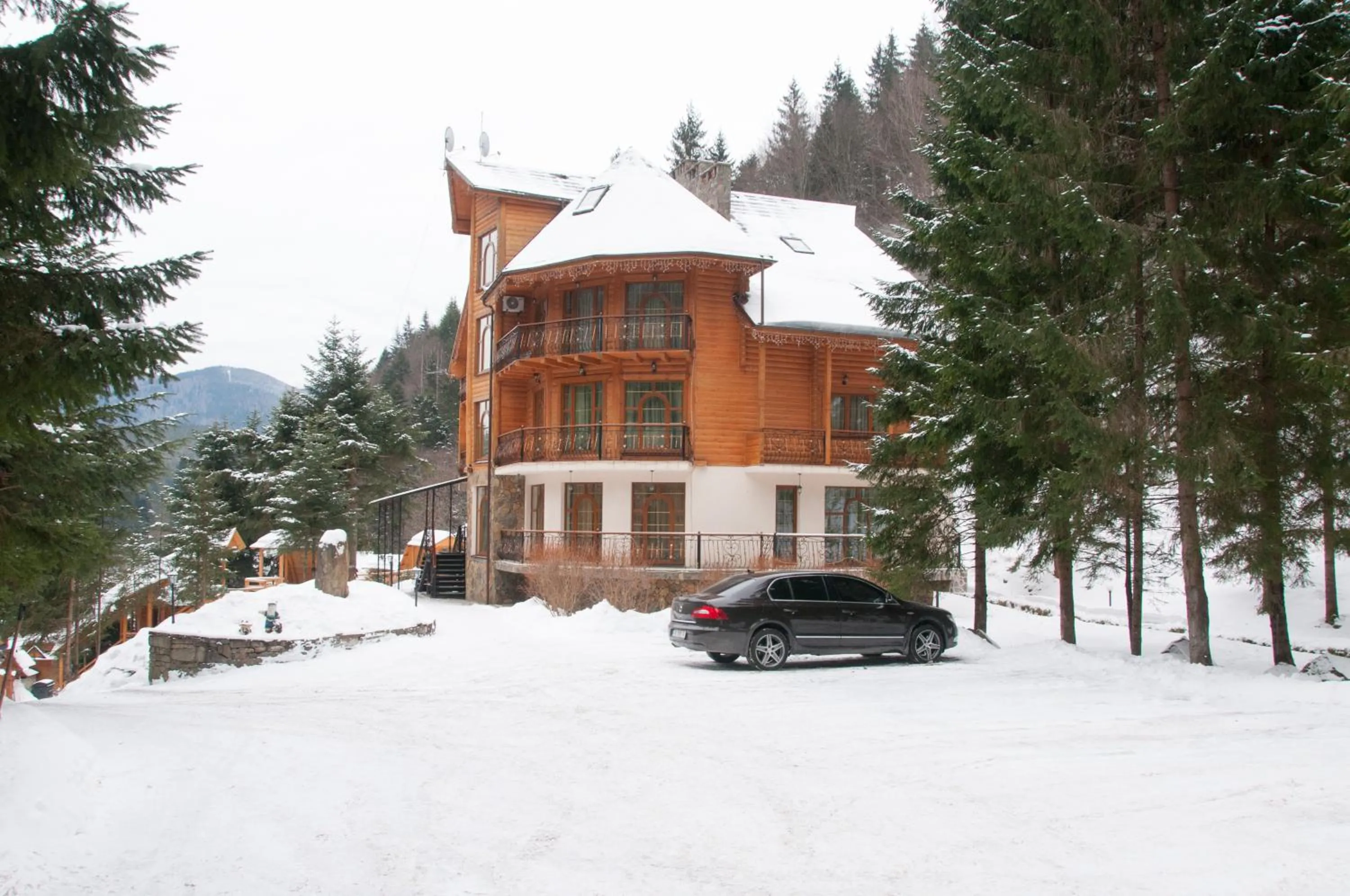 Property building in Hotel Dykyi Med