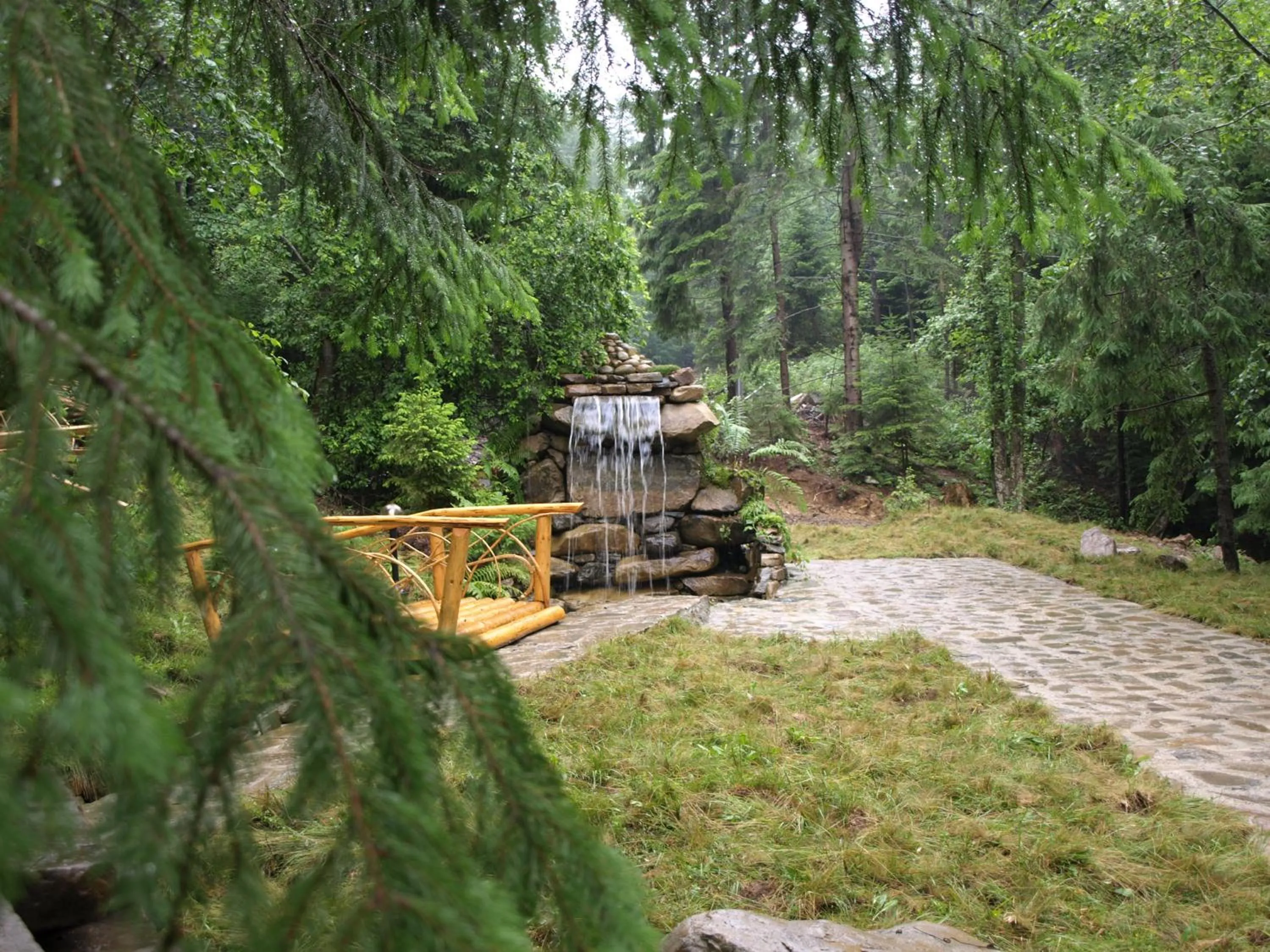 Natural landscape in Hotel Dykyi Med