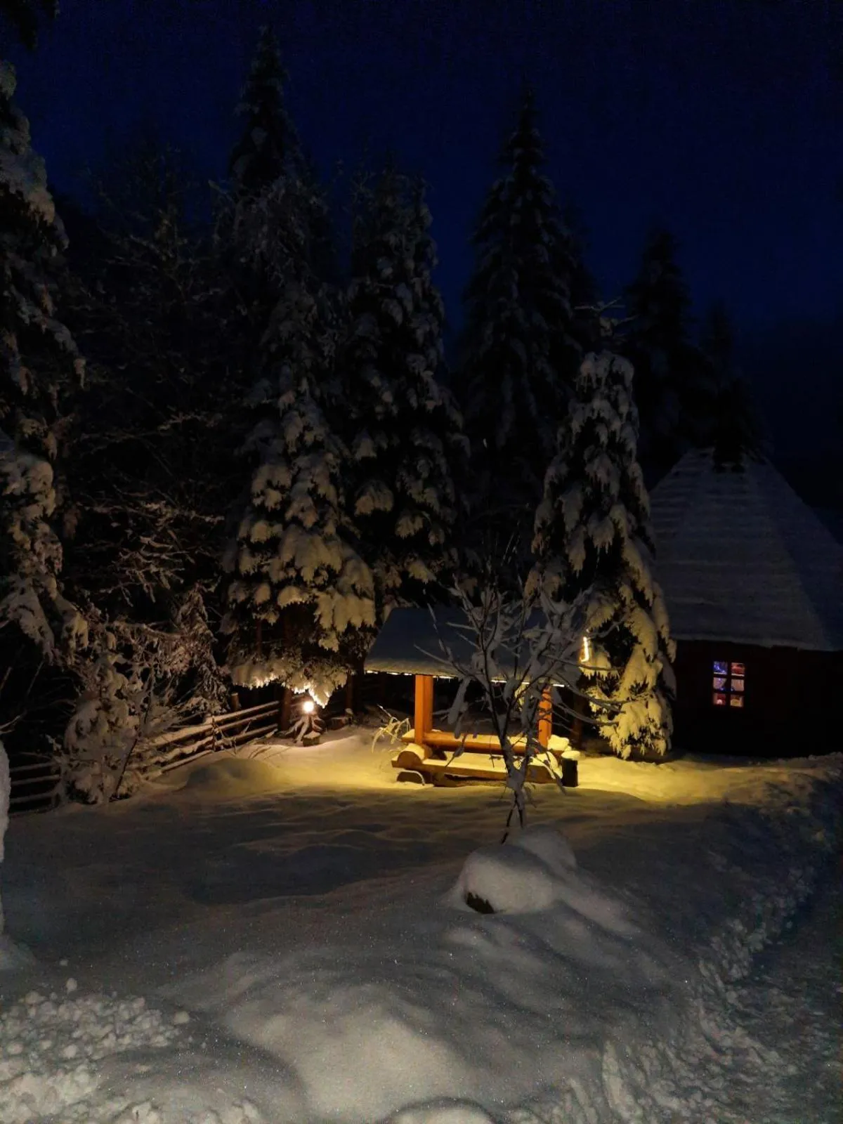 Restaurant/places to eat in Hotel Dykyi Med