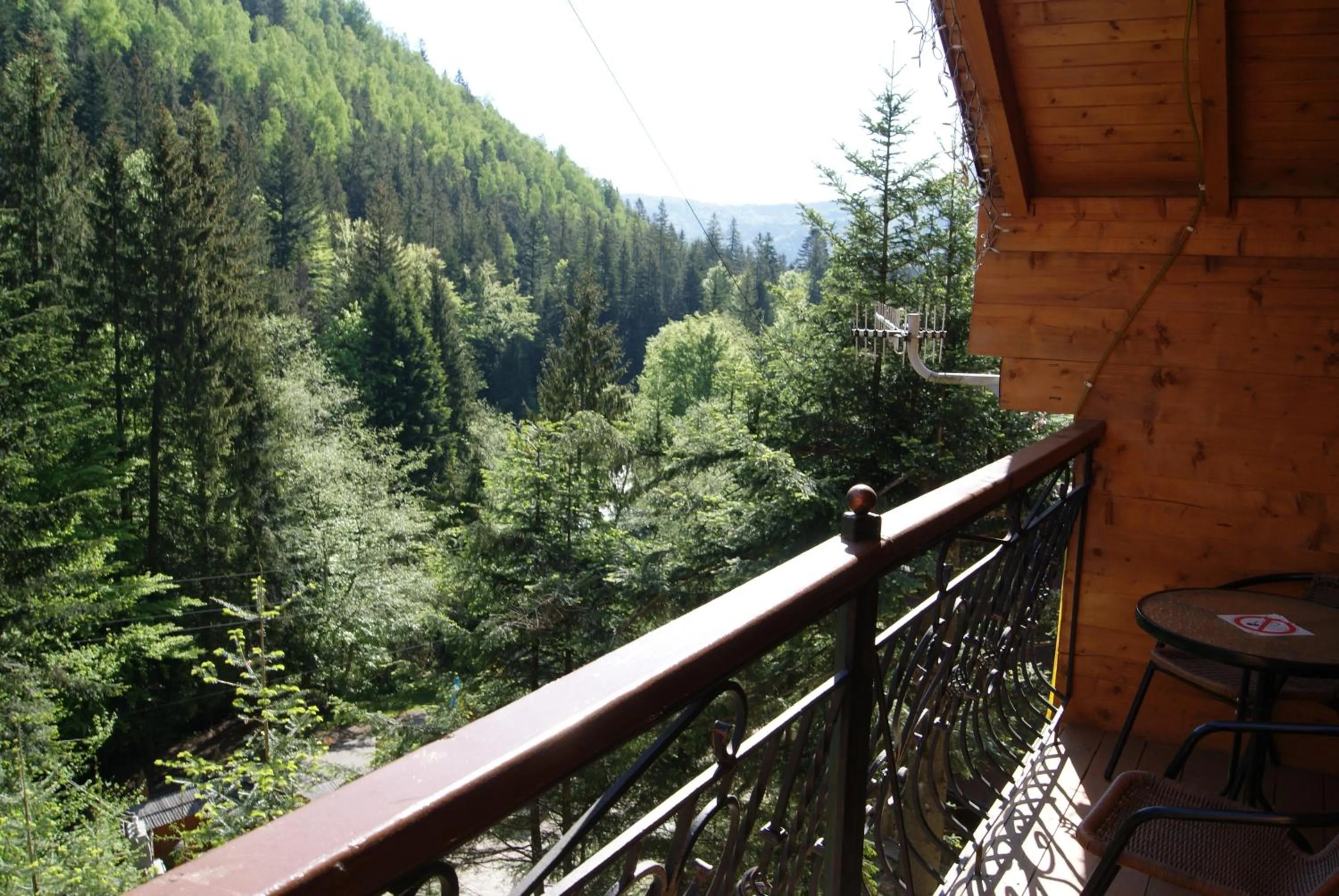 Balcony/Terrace in Hotel Dykyi Med