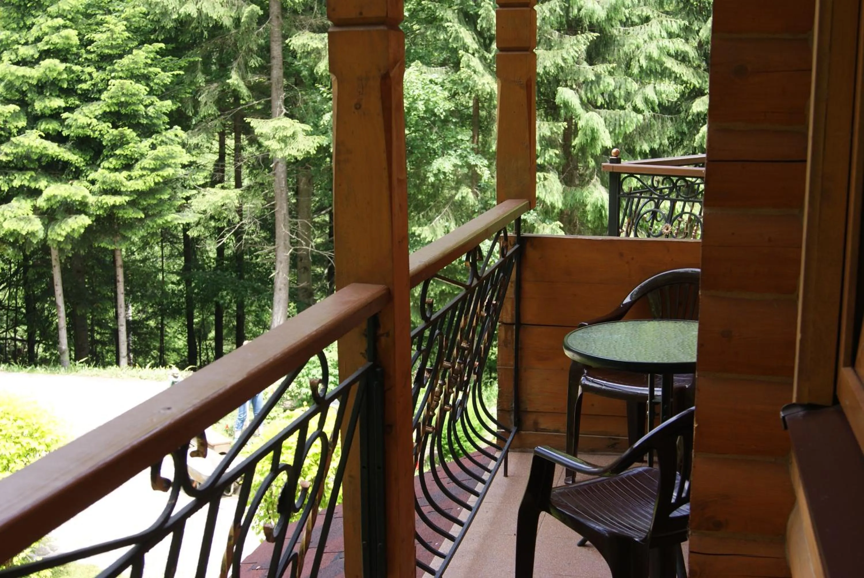Balcony/Terrace in Hotel Dykyi Med