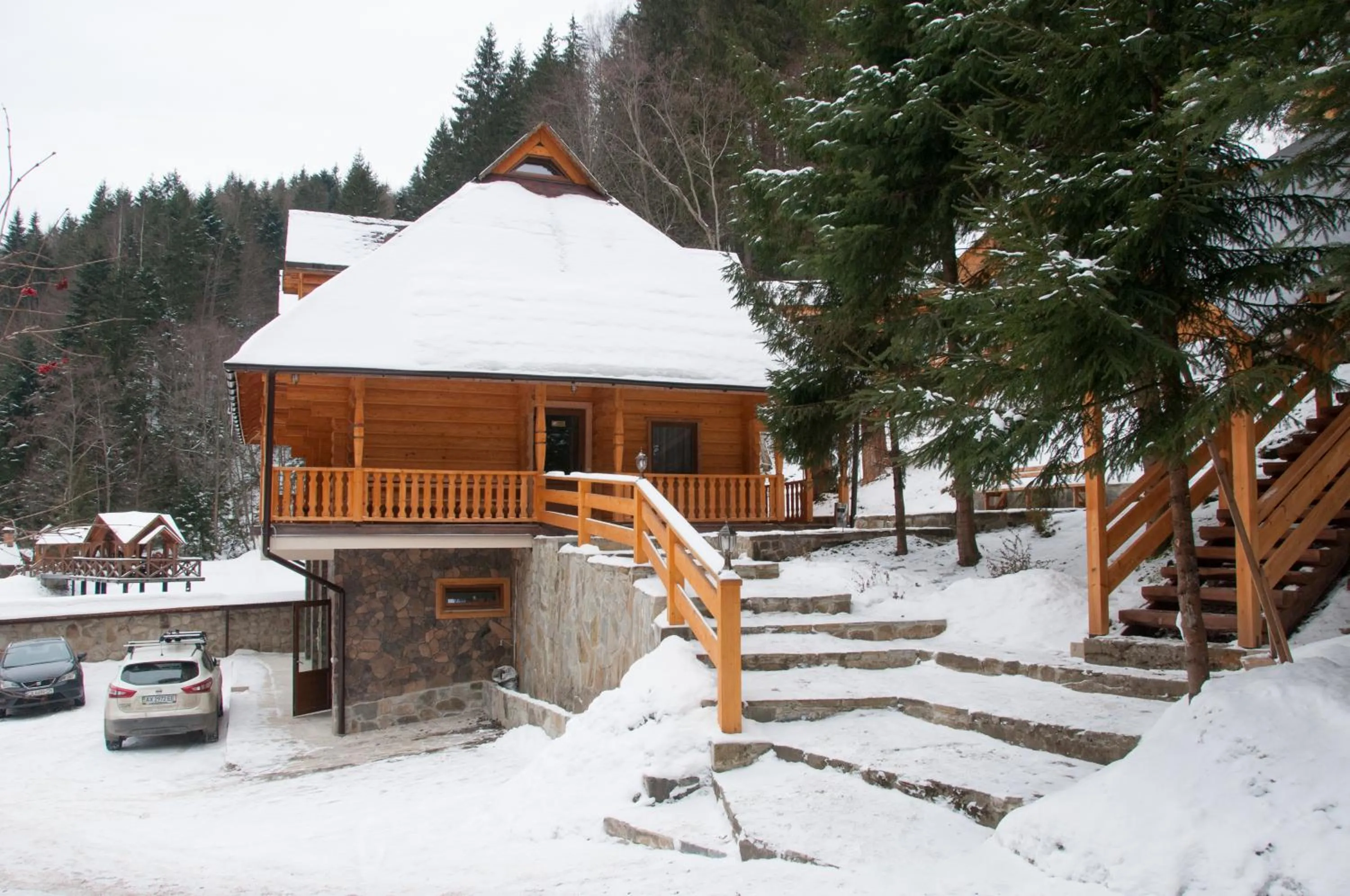 Property building in Hotel Dykyi Med