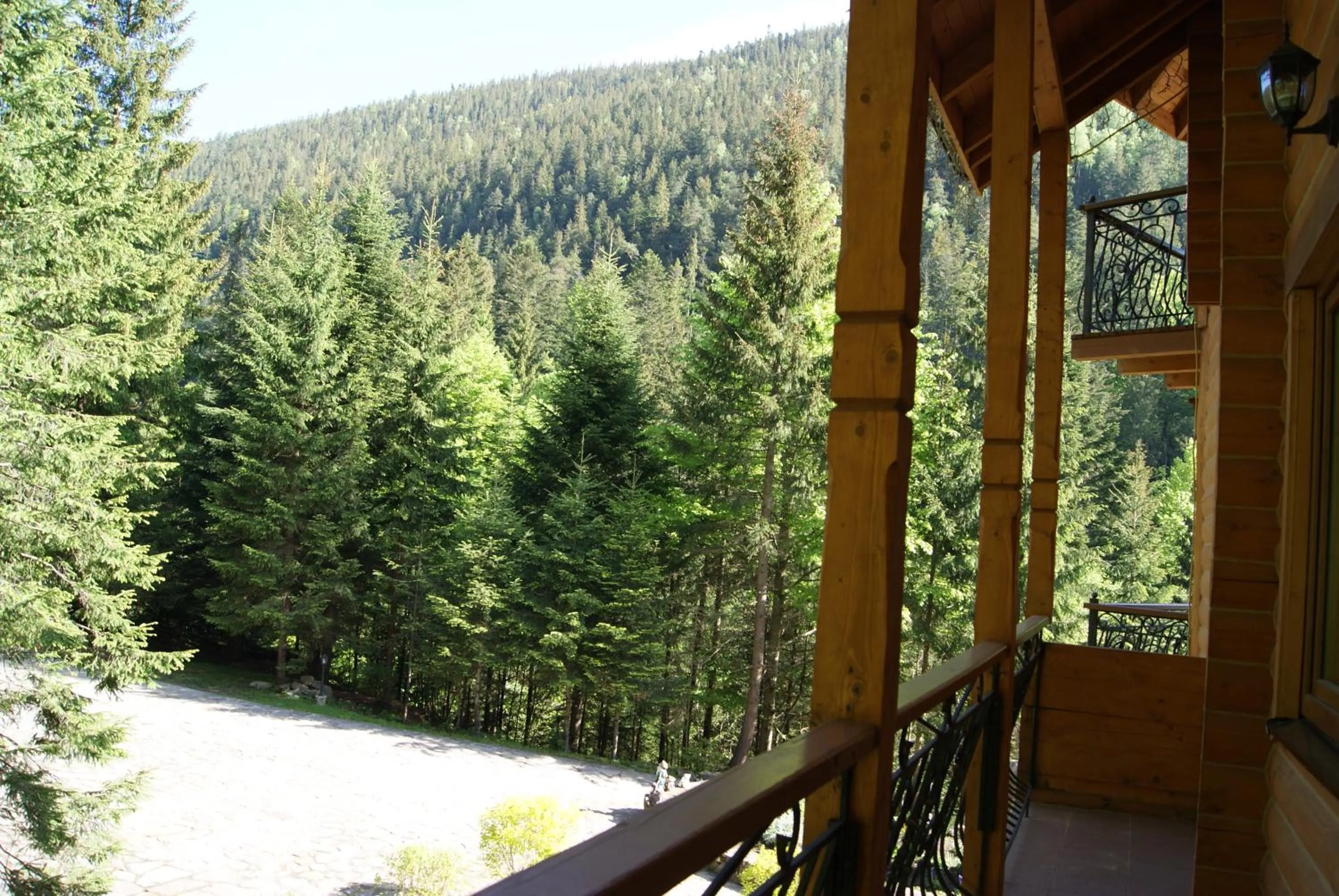 Balcony/Terrace in Hotel Dykyi Med