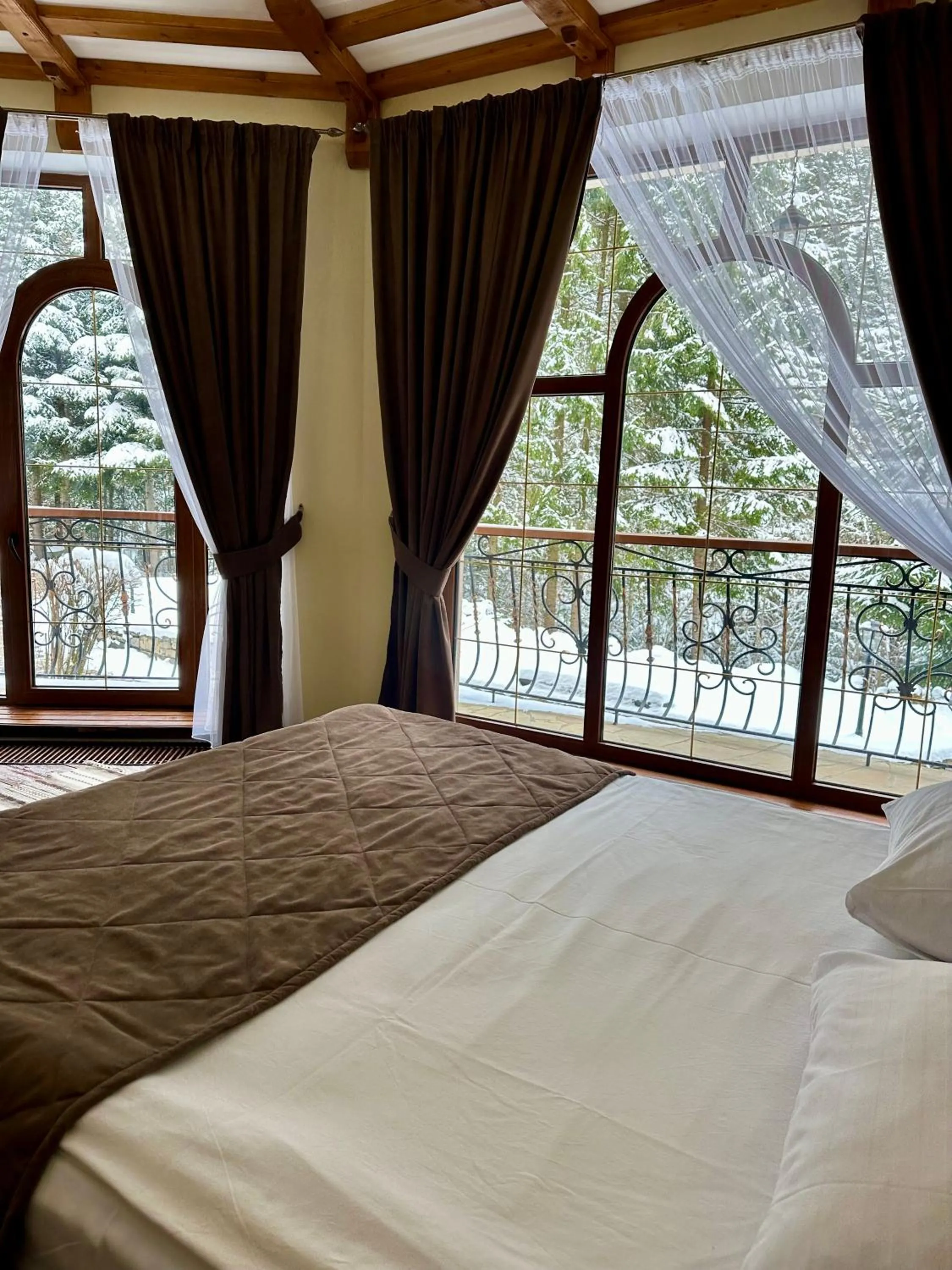 View (from property/room), Bed in Hotel Dykyi Med