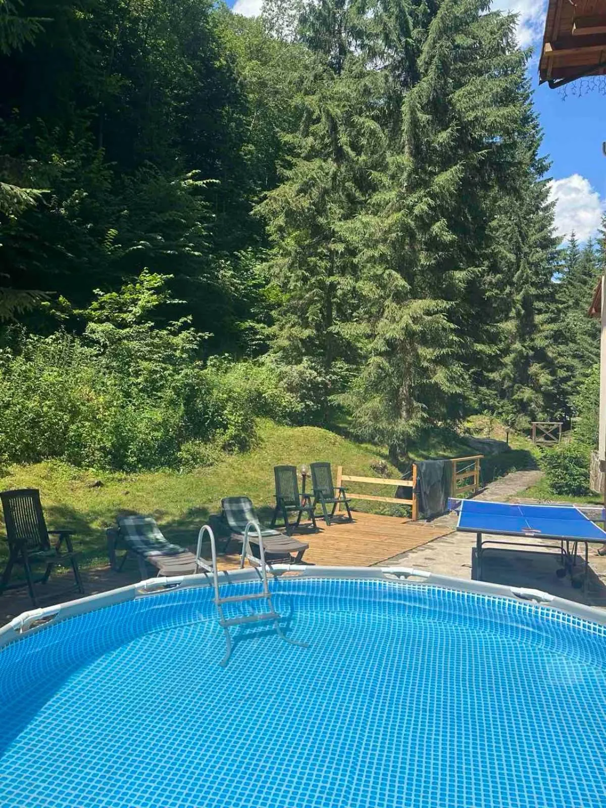 Swimming pool in Hotel Dykyi Med