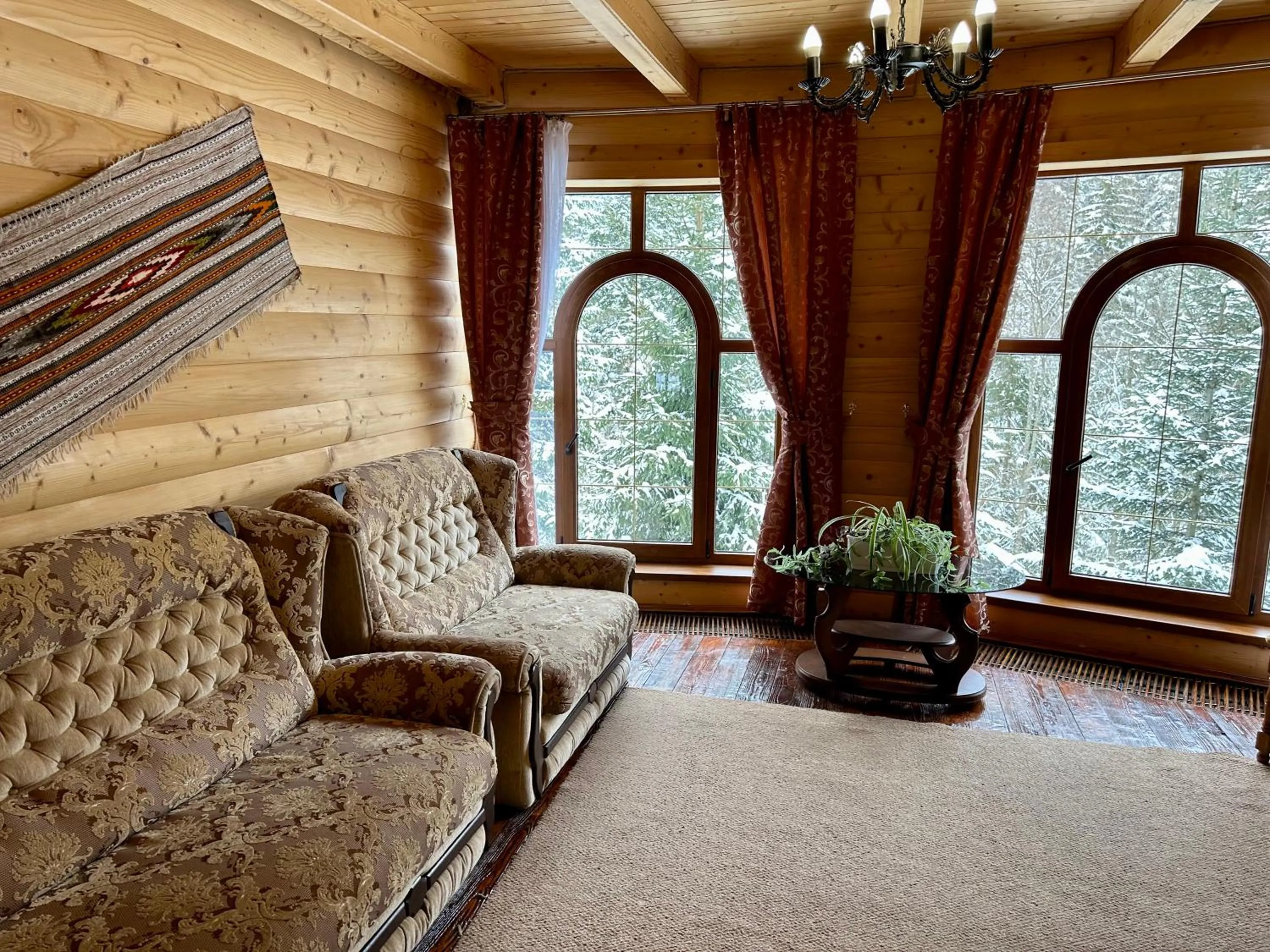 Living room in Hotel Dykyi Med