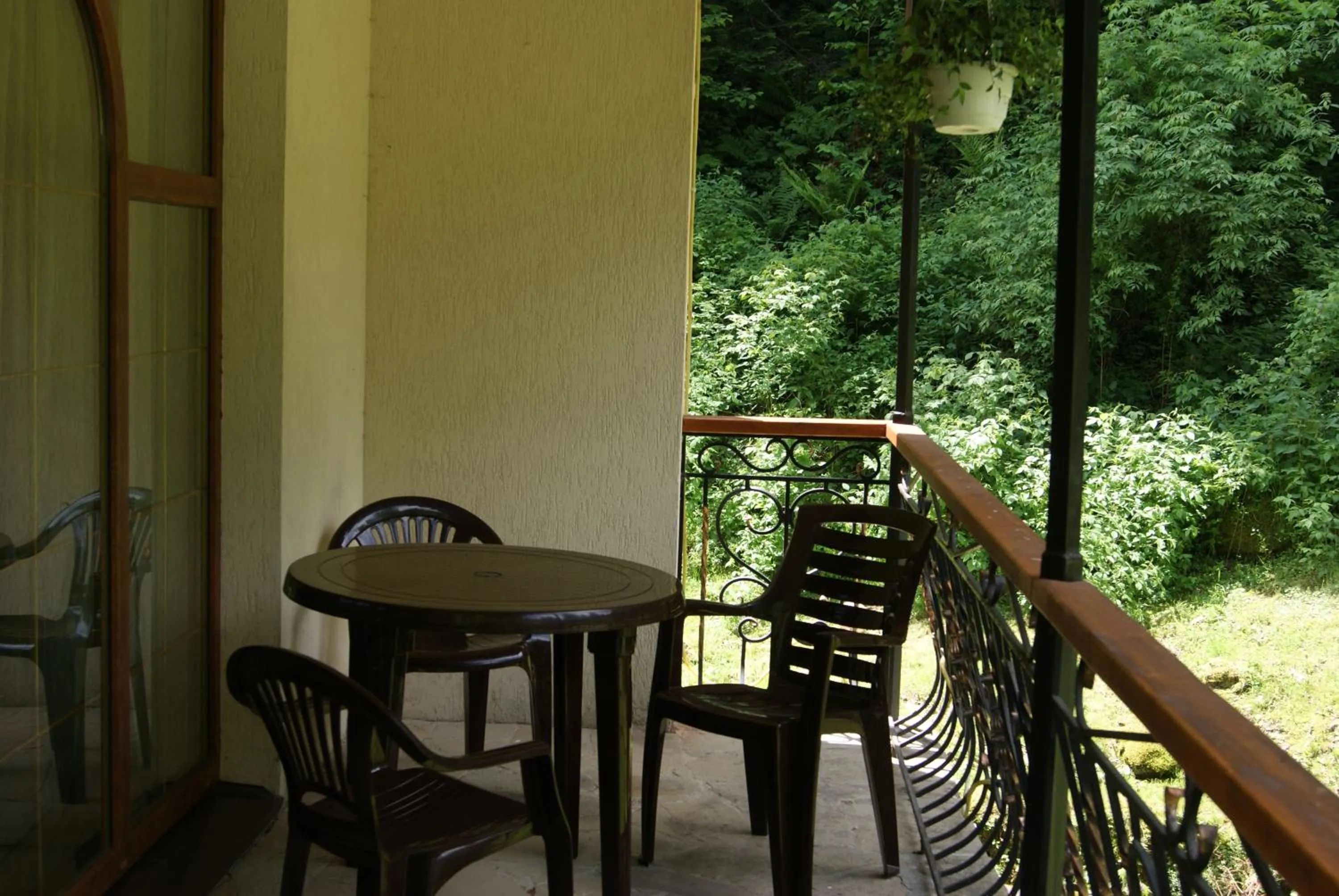 Balcony/Terrace in Hotel Dykyi Med