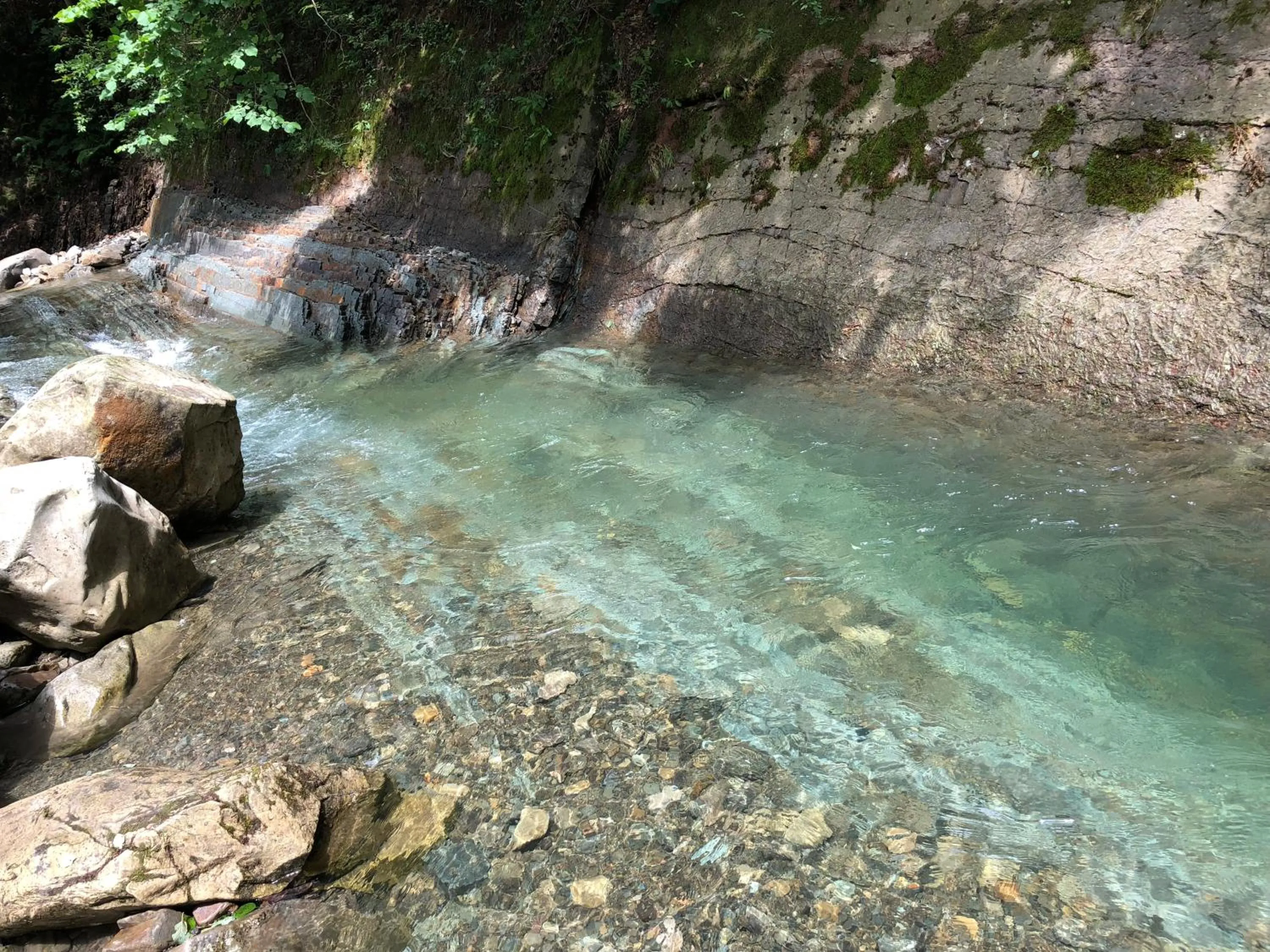 Natural landscape in Hotel Dykyi Med