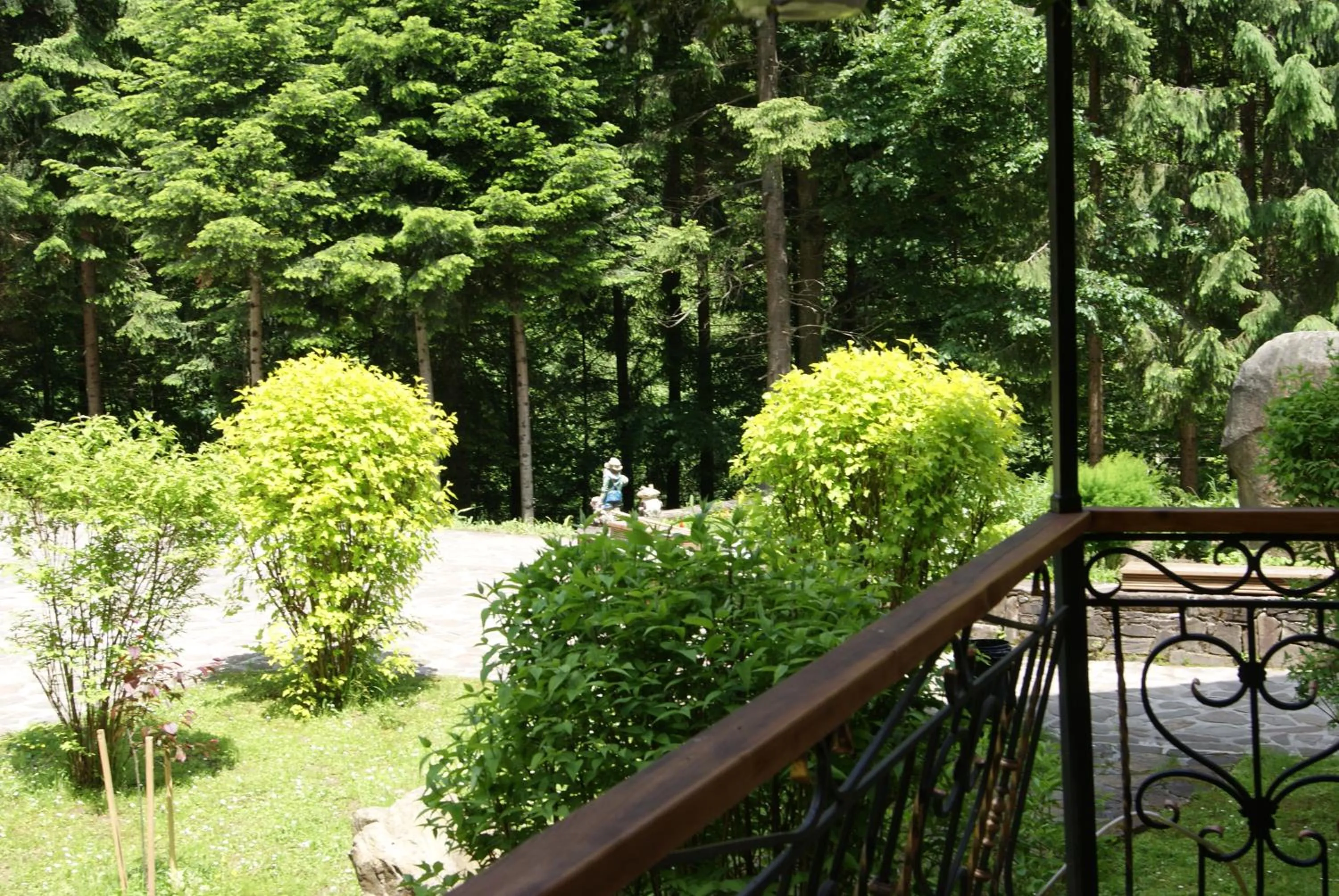 Balcony/Terrace in Hotel Dykyi Med