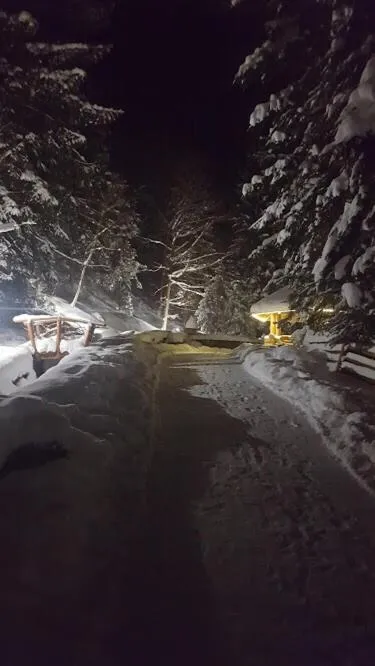 Winter in Hotel Dykyi Med