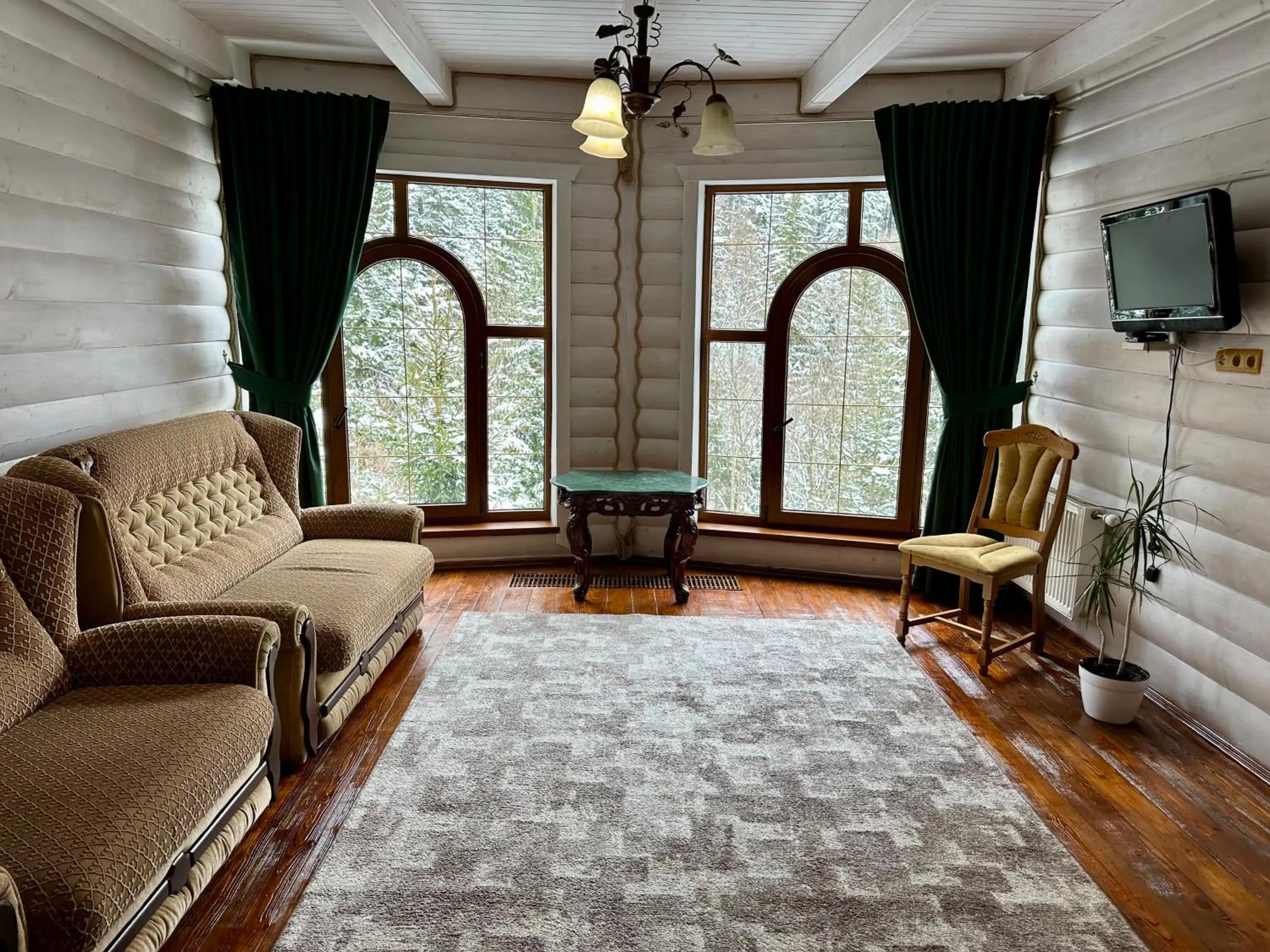 Living room in Hotel Dykyi Med