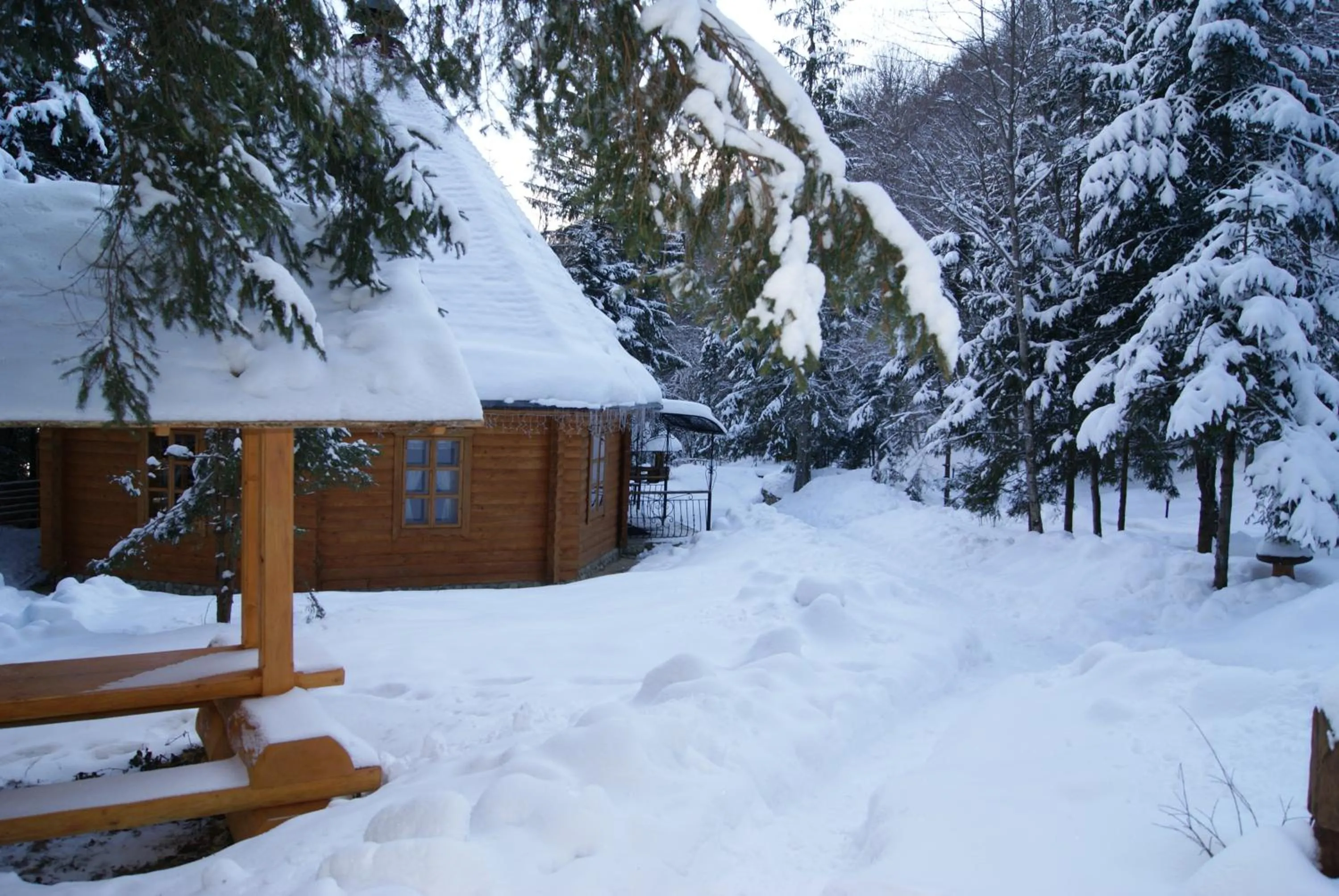 Winter in Hotel Dykyi Med