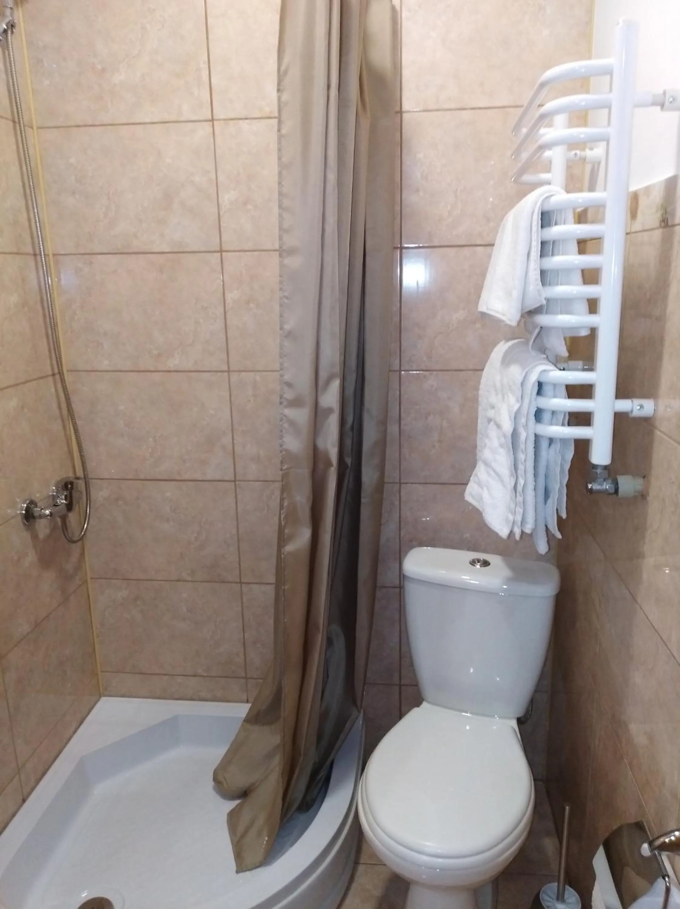 Shower in Hotel Dykyi Med