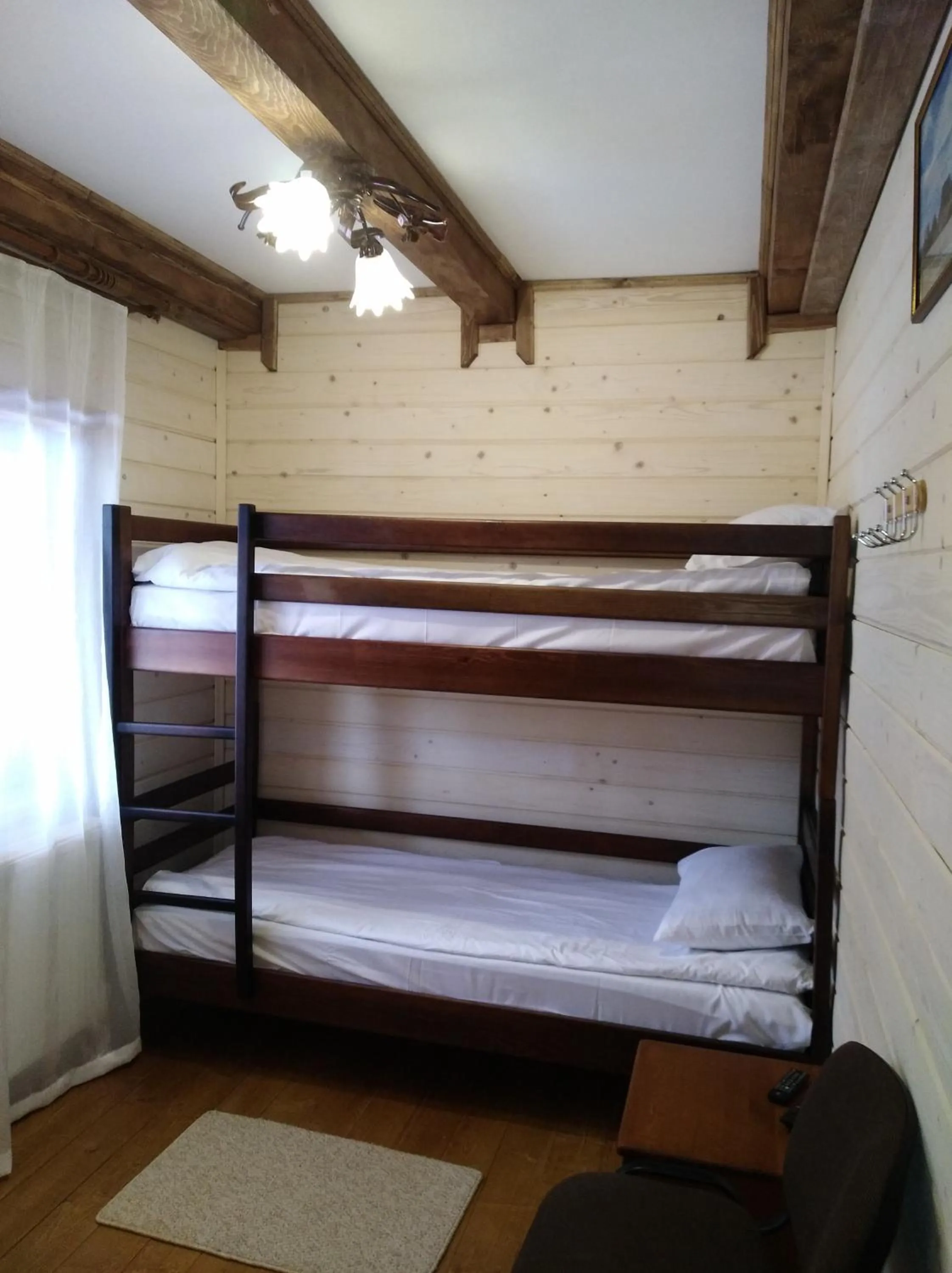 Photo of the whole room, Bed in Hotel Dykyi Med