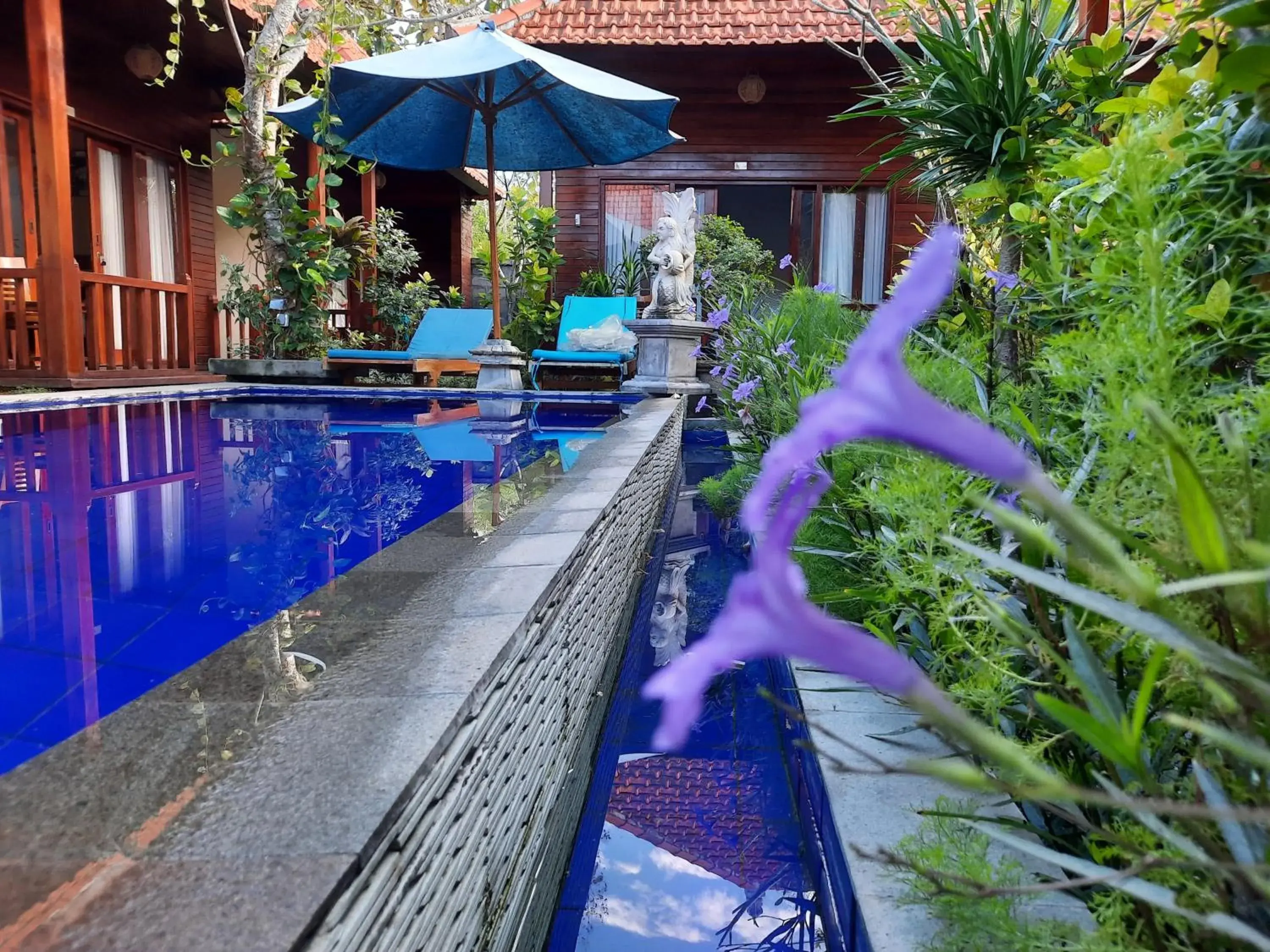 Pool view in Wait Garden Cottage Pool view in Wait Garden Cottage