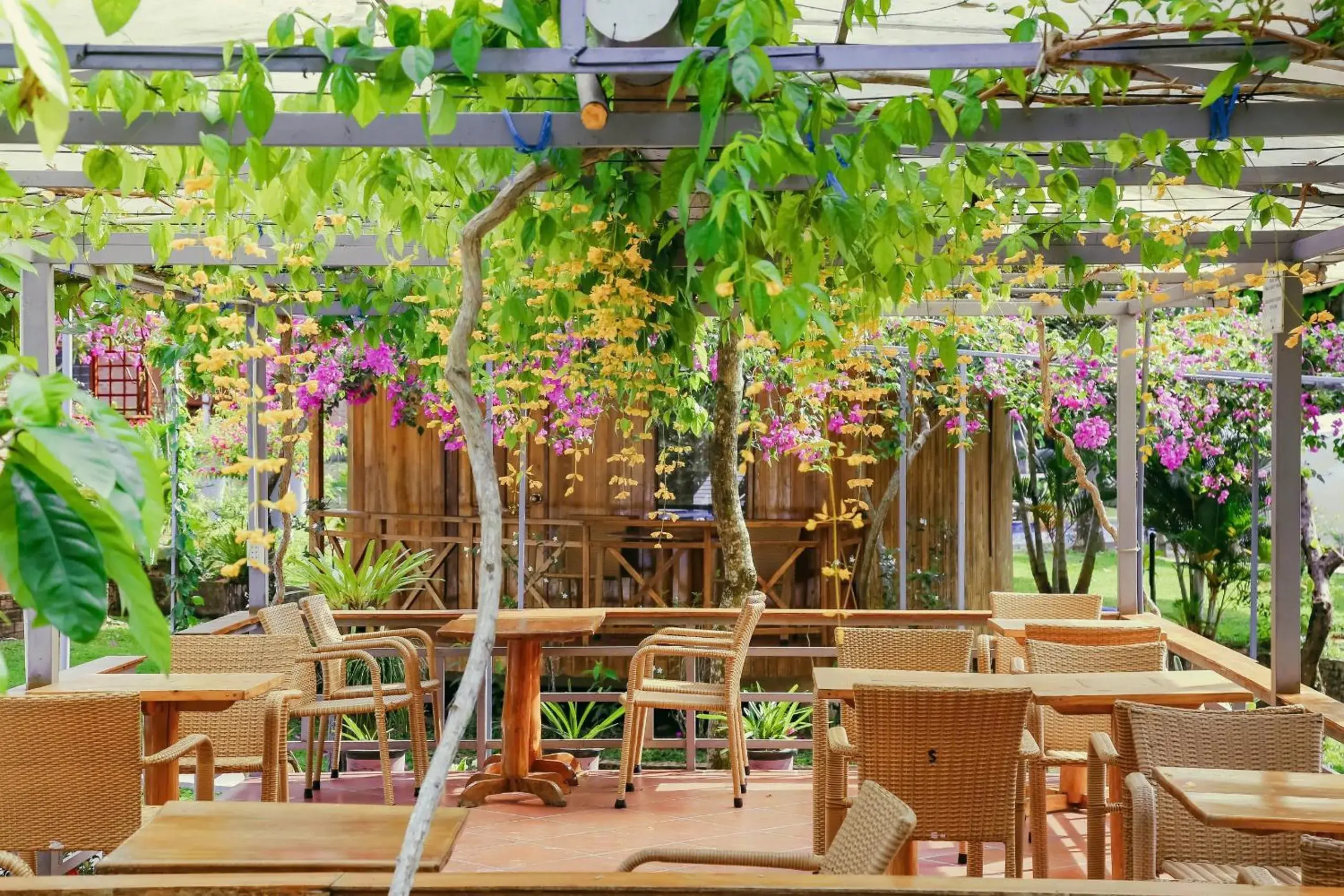 Breakfast in Phu Quoc Valley Sen Bungalow Breakfast in Phu Quoc Valley Sen Bungalow