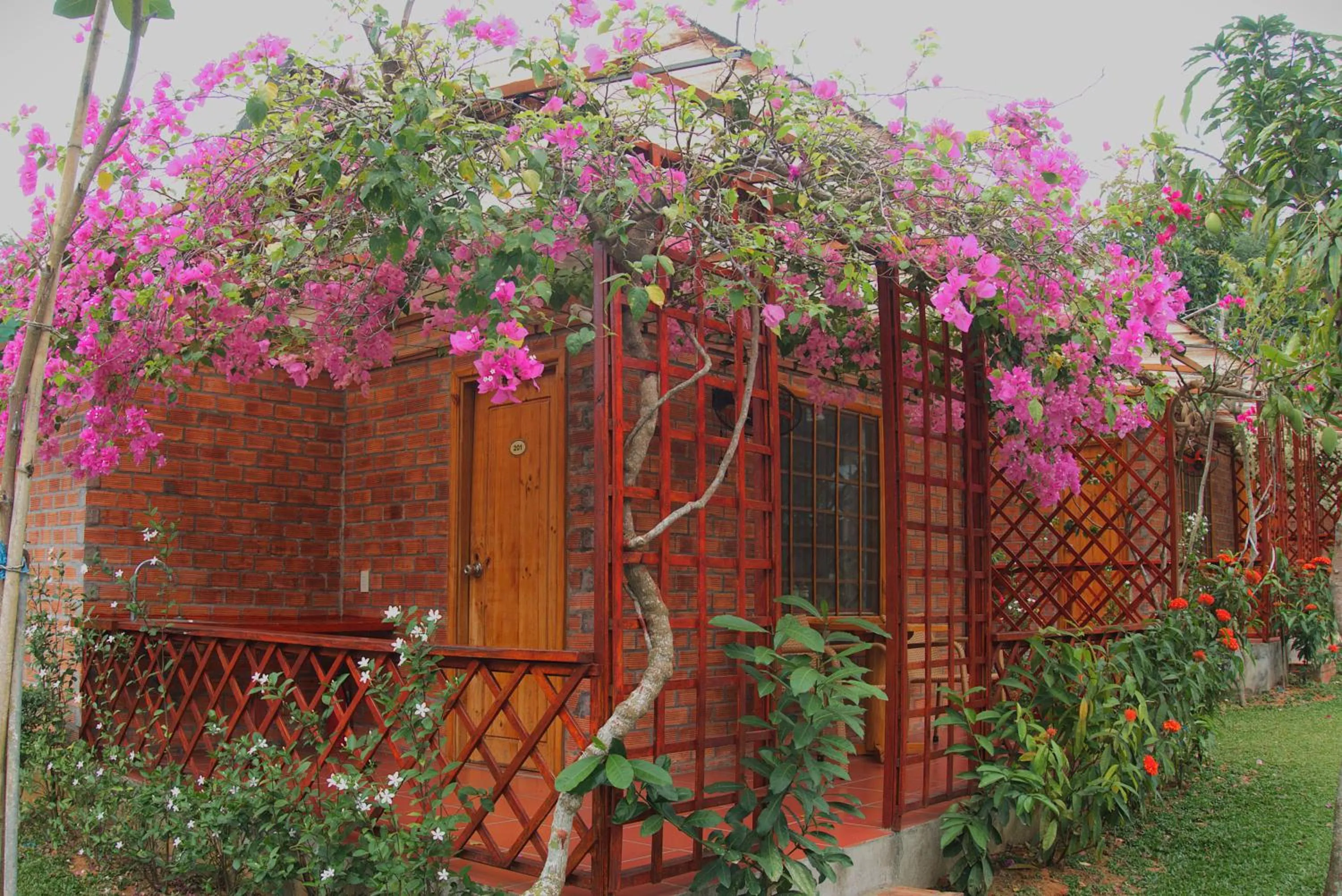 Property building in Phu Quoc Valley Sen Bungalow