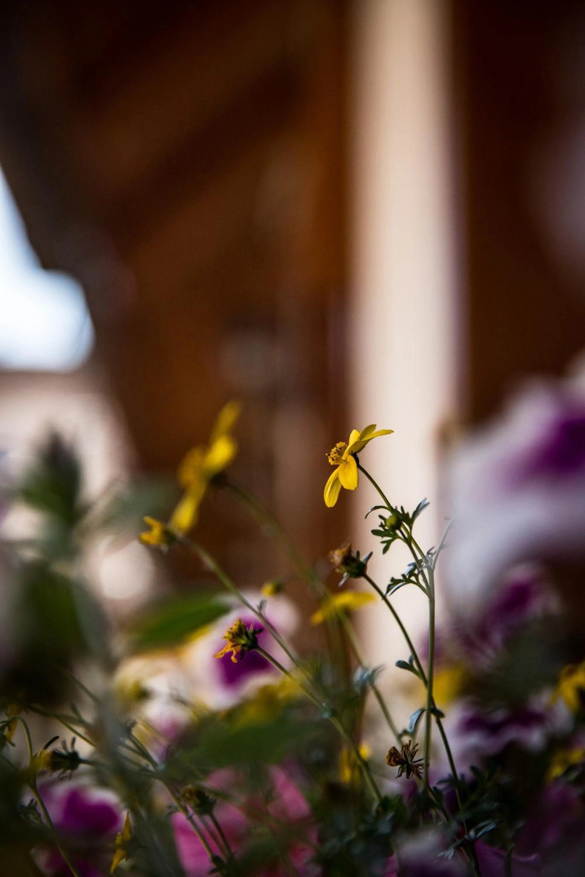 Property building in Fiáker Panzió