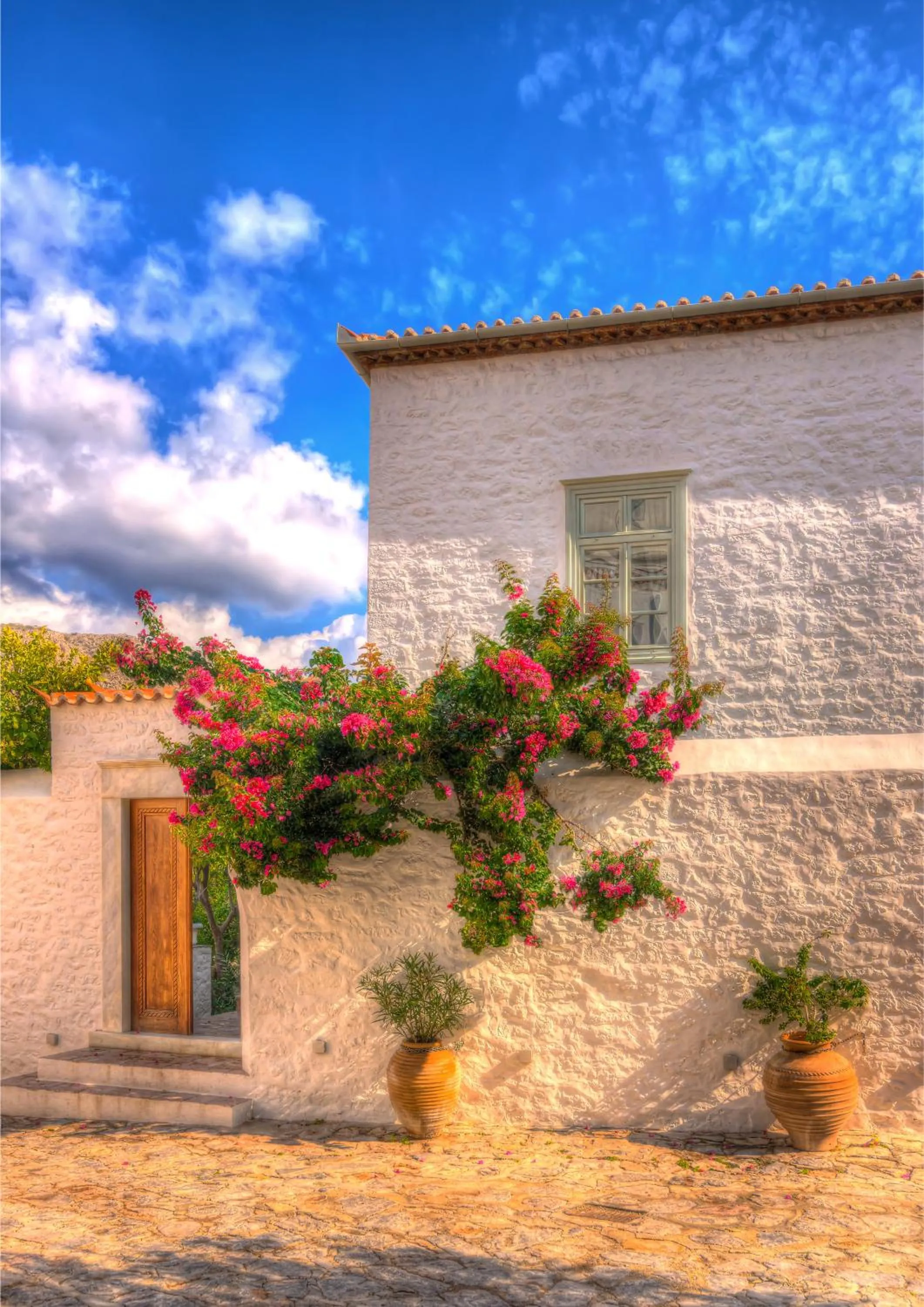 Cotommatae Hydra 1810