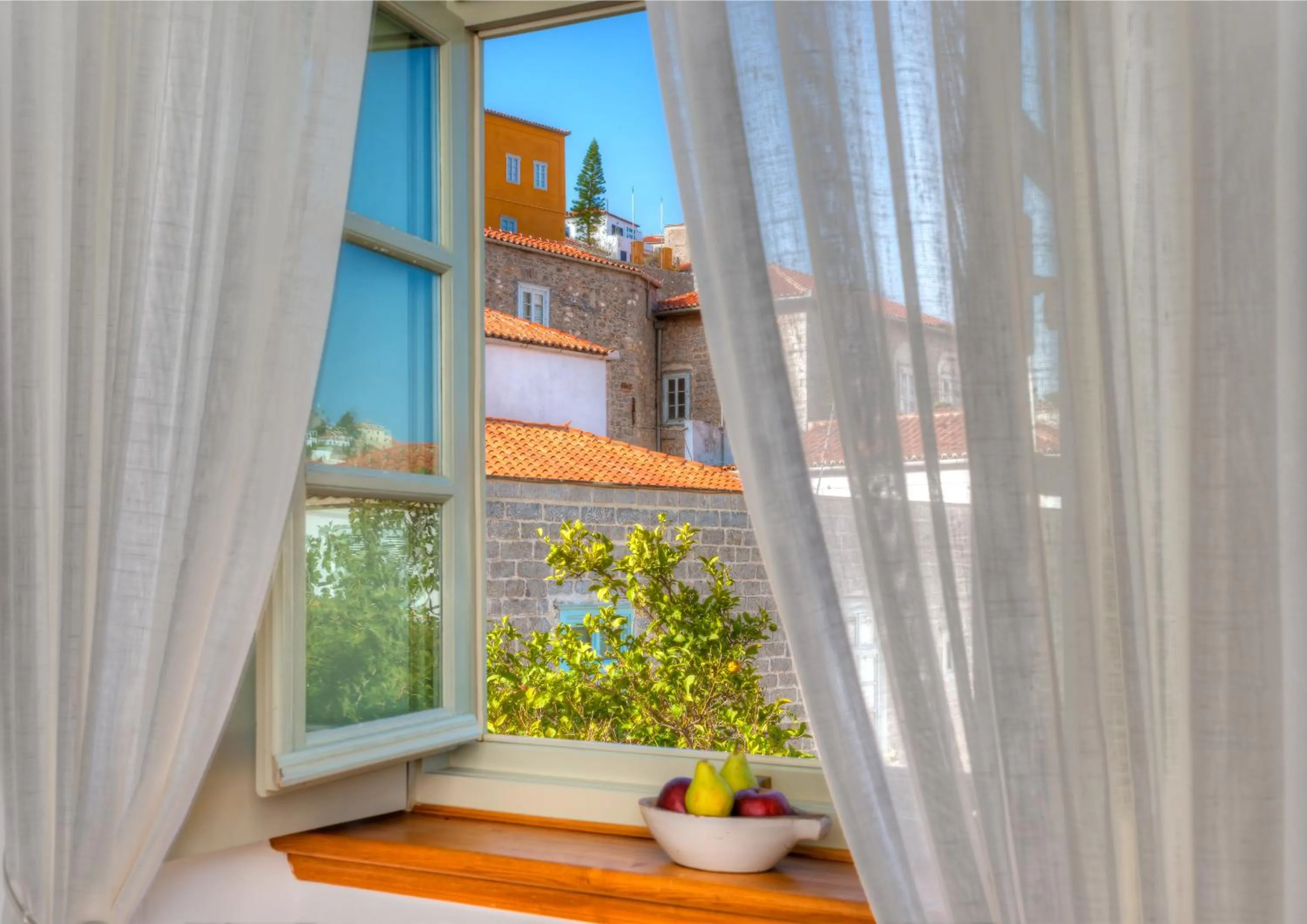 Cotommatae Hydra 1810