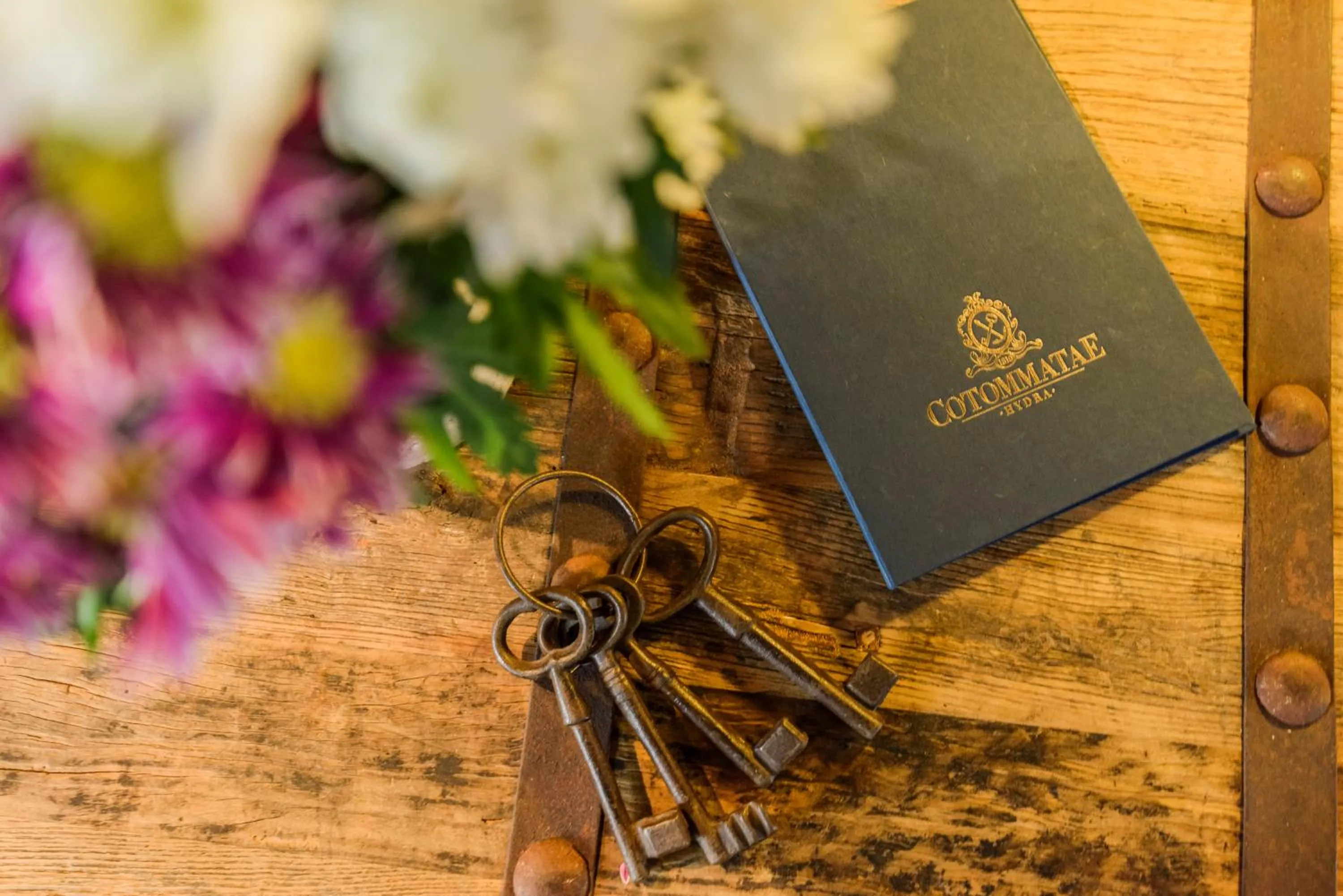 Cotommatae Hydra 1810