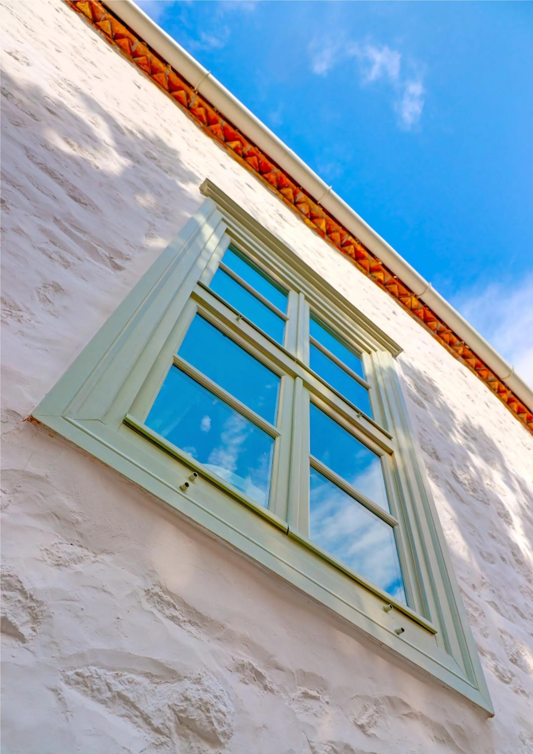 Decorative detail in Cotommatae Hydra 1810