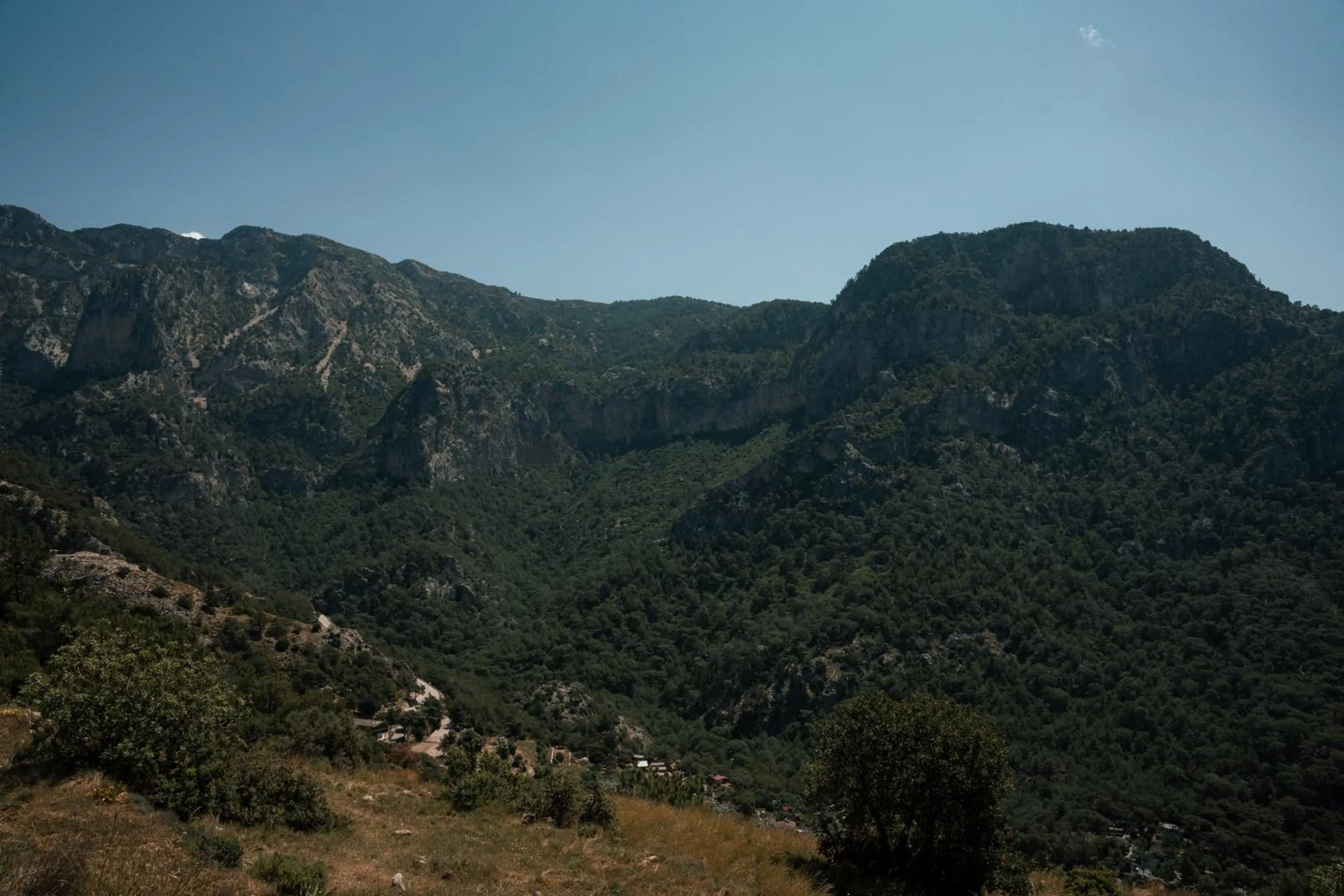 Natural landscape in Olive Garden Kabak