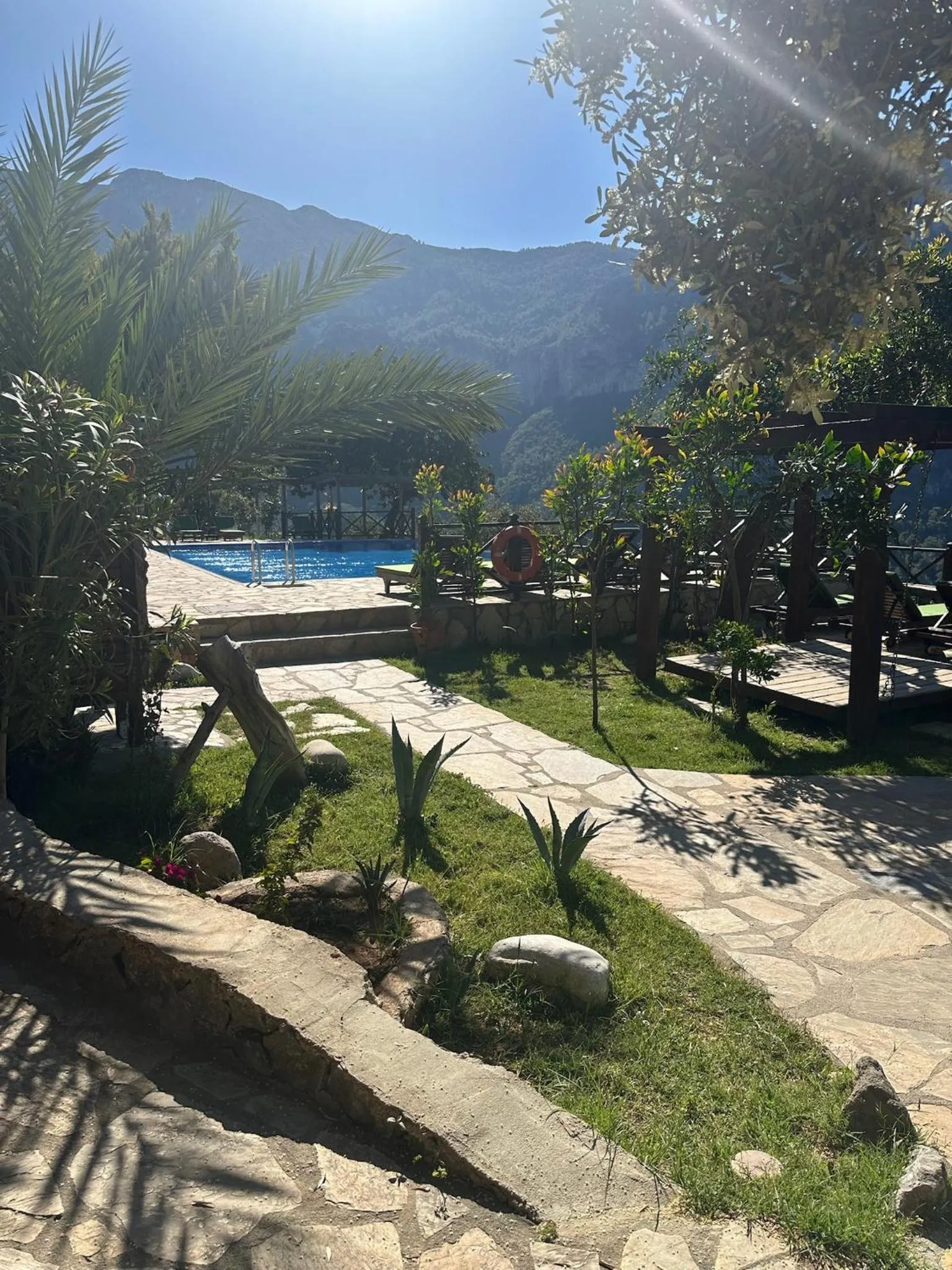 Swimming pool in Olive Garden Kabak