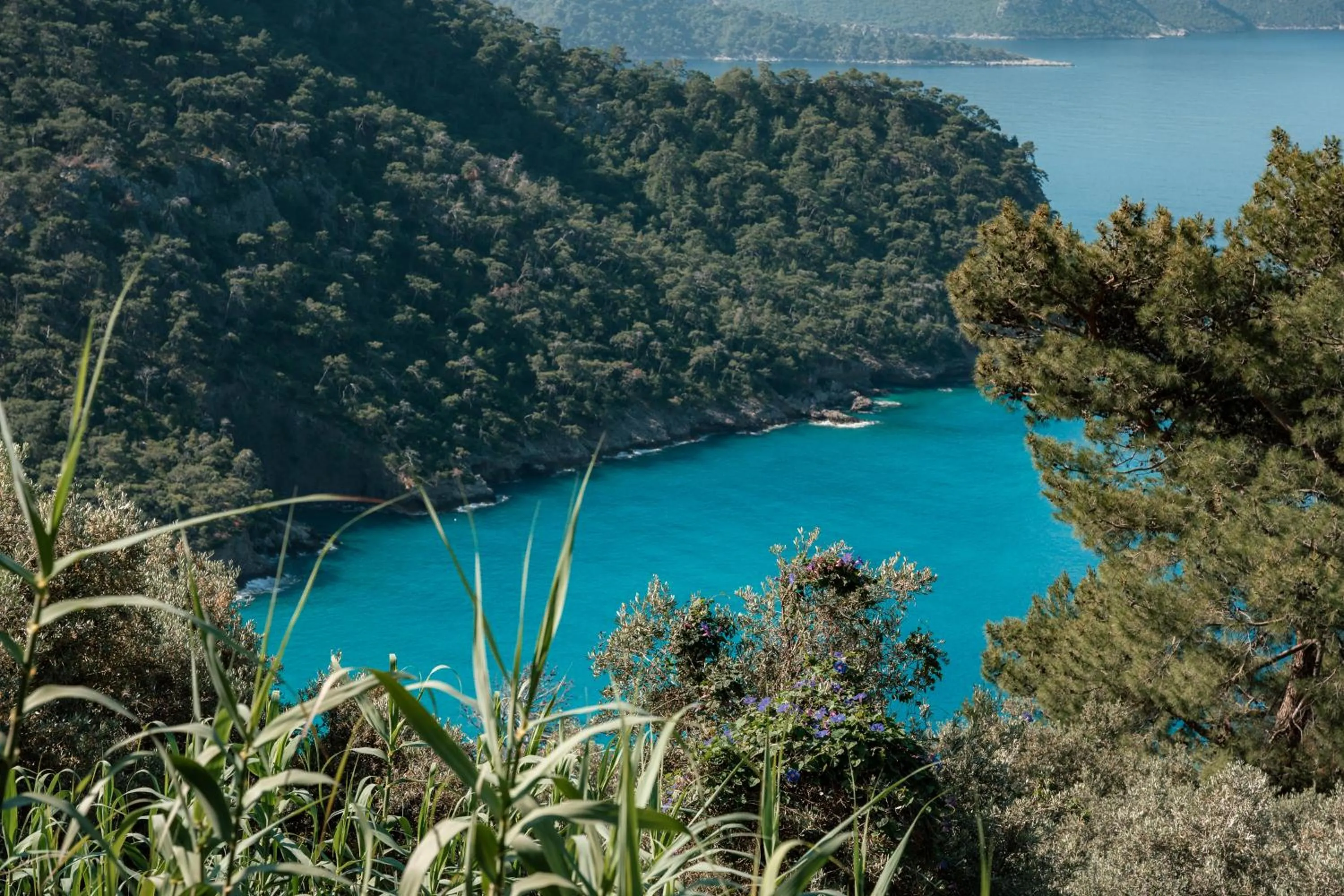 Sea view in Olive Garden Kabak
