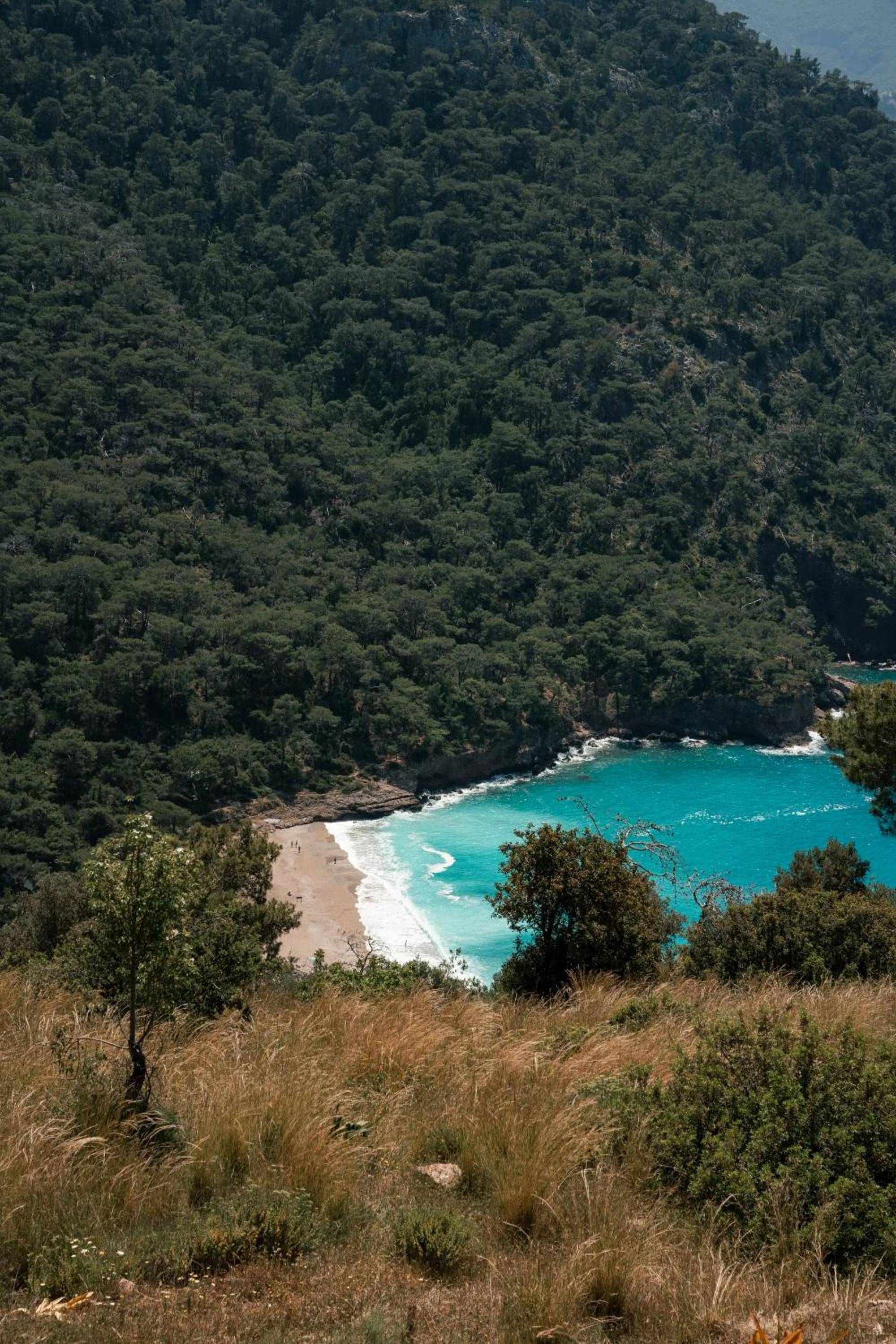 Natural landscape in Olive Garden Kabak