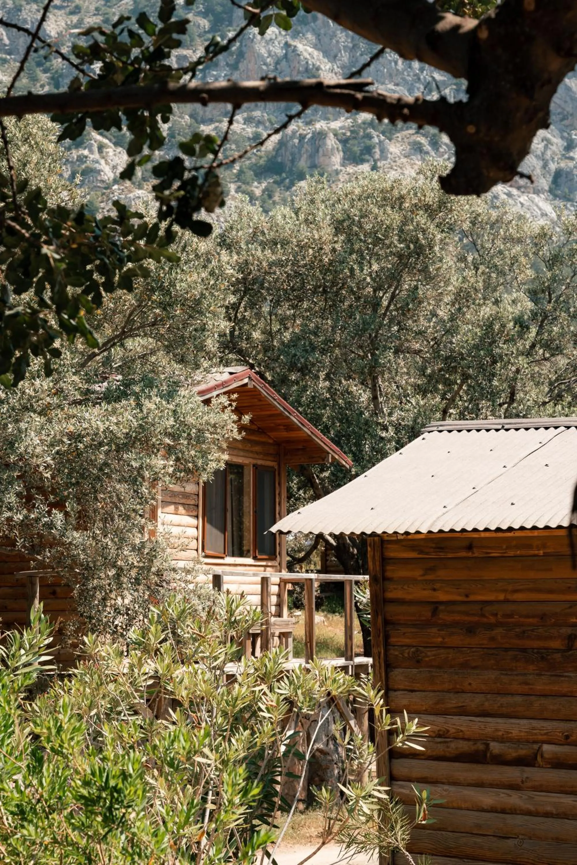 Property building in Olive Garden Kabak