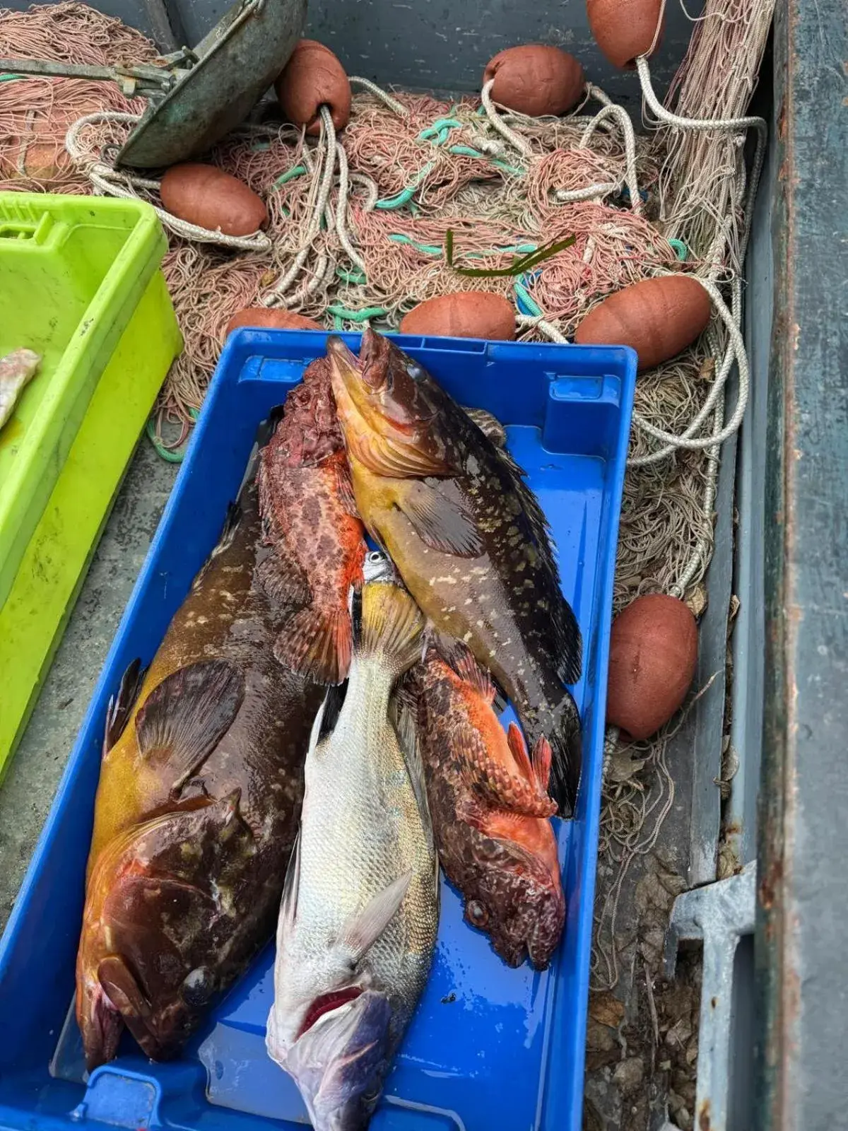 Restaurant/places to eat in Hotel Parco Delle Agavi Restaurant/places to eat in Hotel Parco Delle Agavi