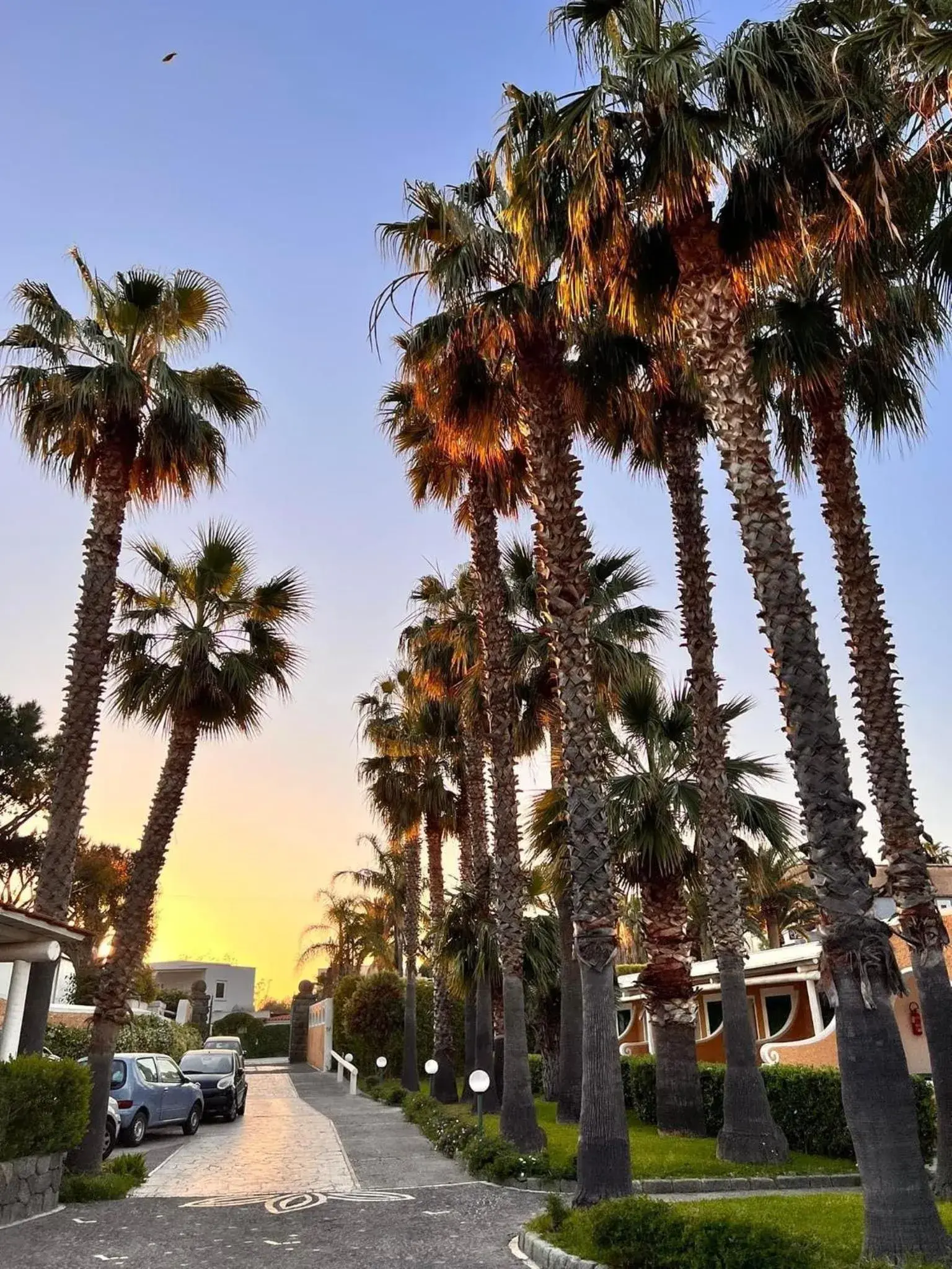 Facade/entrance in Hotel Parco Delle Agavi Facade/entrance in Hotel Parco Delle Agavi