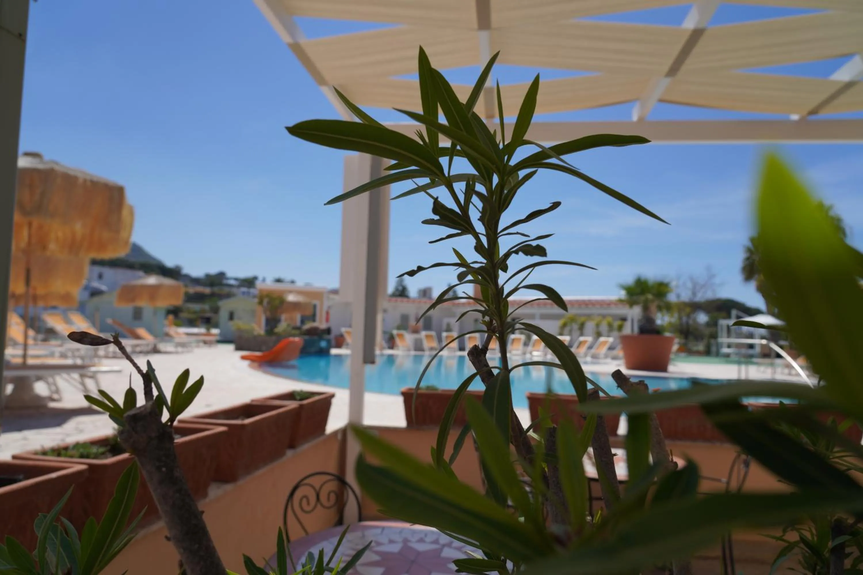 Pool view in Hotel Parco Delle Agavi