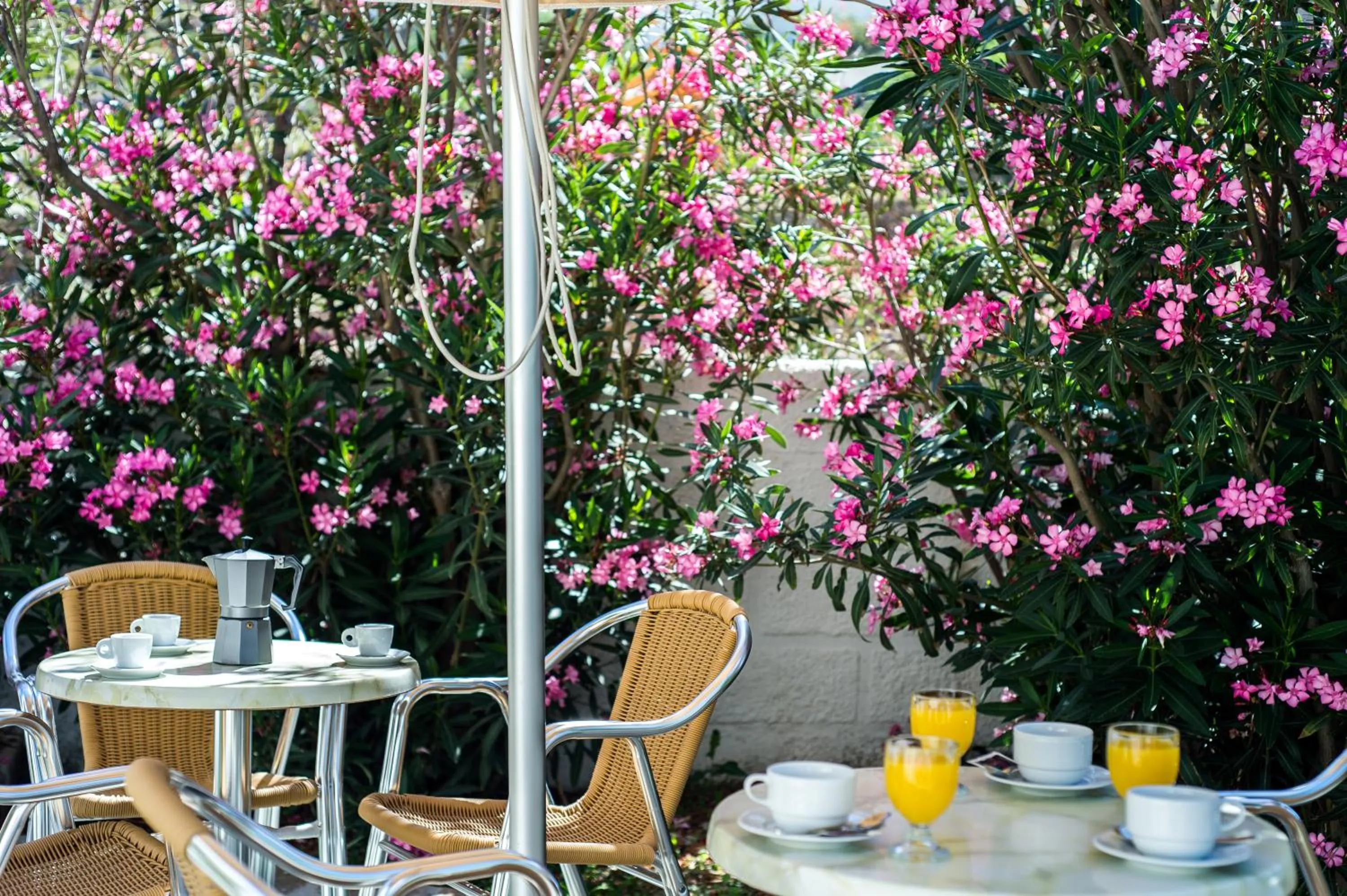 Balcony/Terrace in Joanna Apart - Hotel