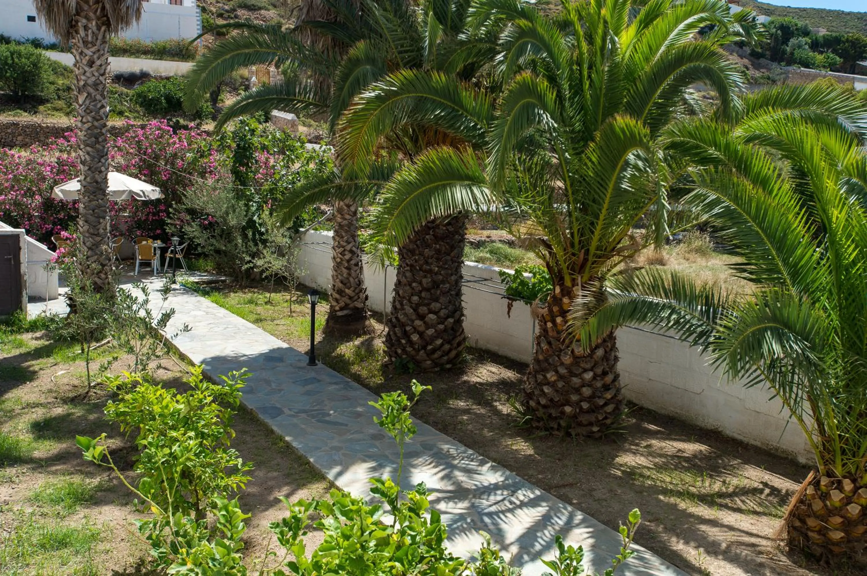 Garden in Joanna Apart - Hotel
