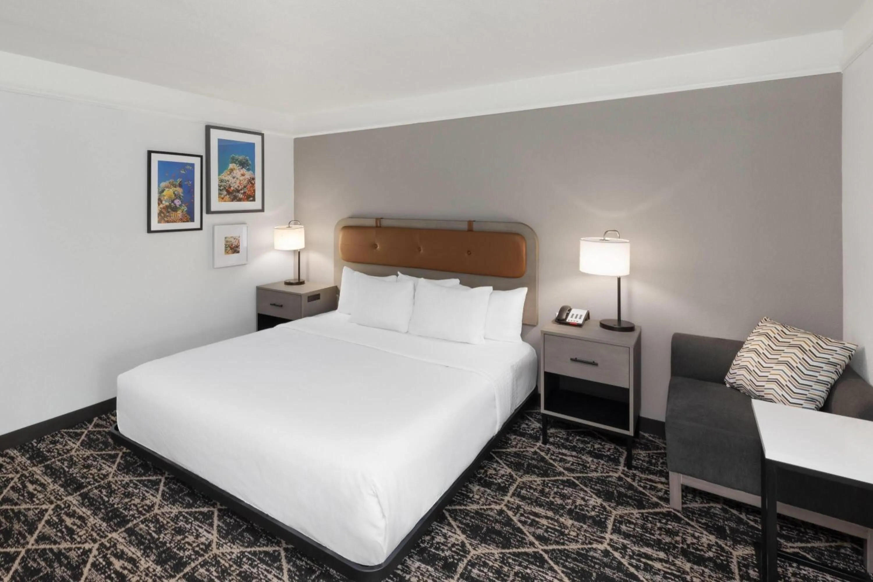 Photo of the whole room, Bed in La Quinta Inn & Suites by Wyndham Houston Bush IAH South