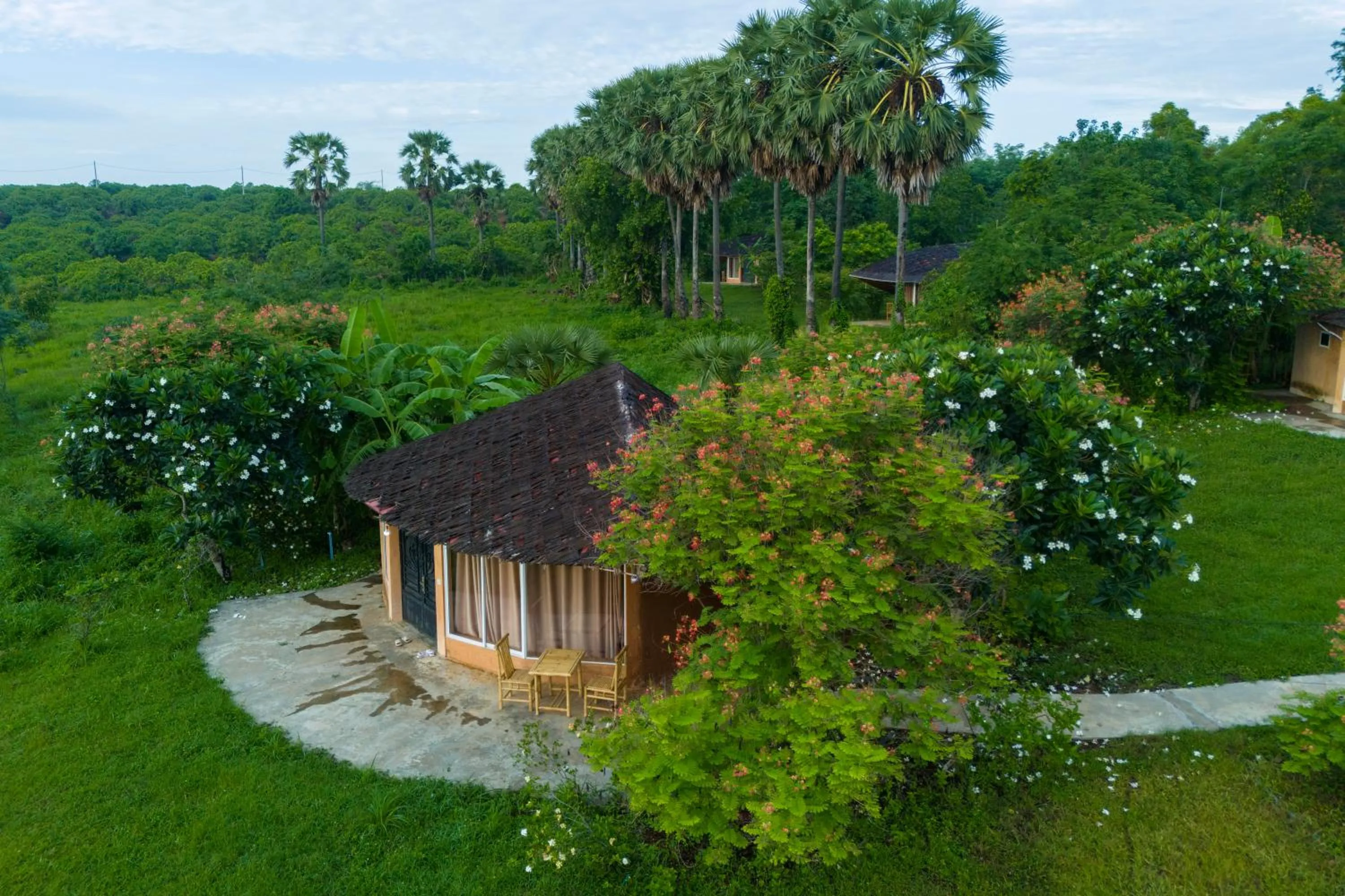 Hanchey Bamboo Resort