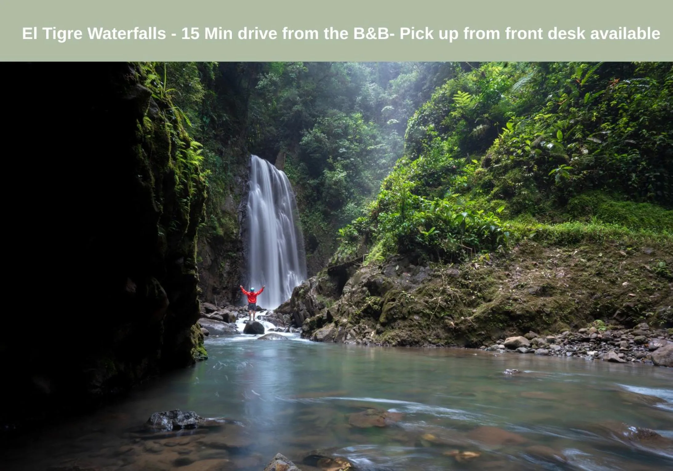 Activities in Camino Verde B&B Monteverde Costa Rica