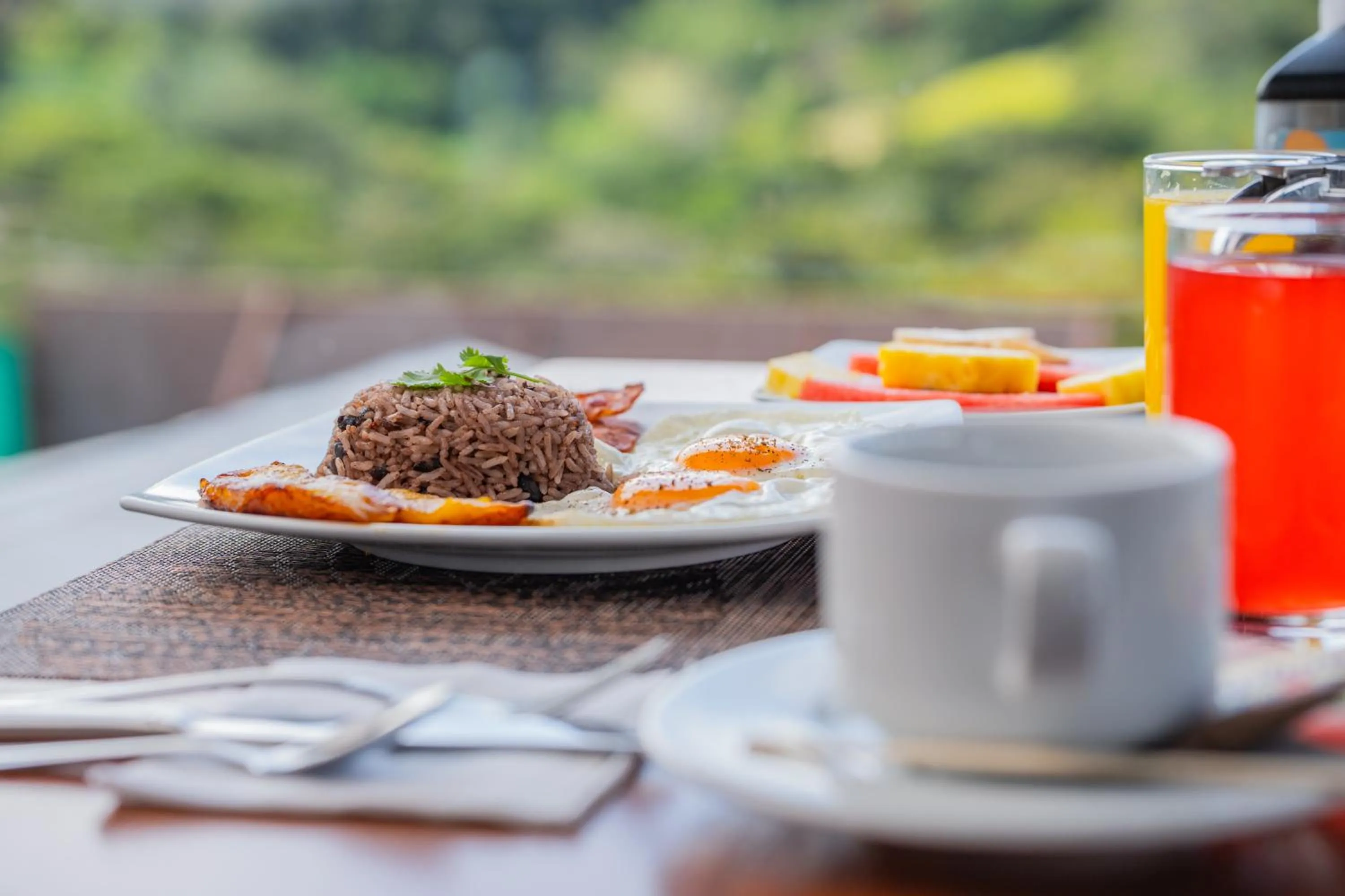 Food and drinks in Camino Verde B&B Monteverde Costa Rica