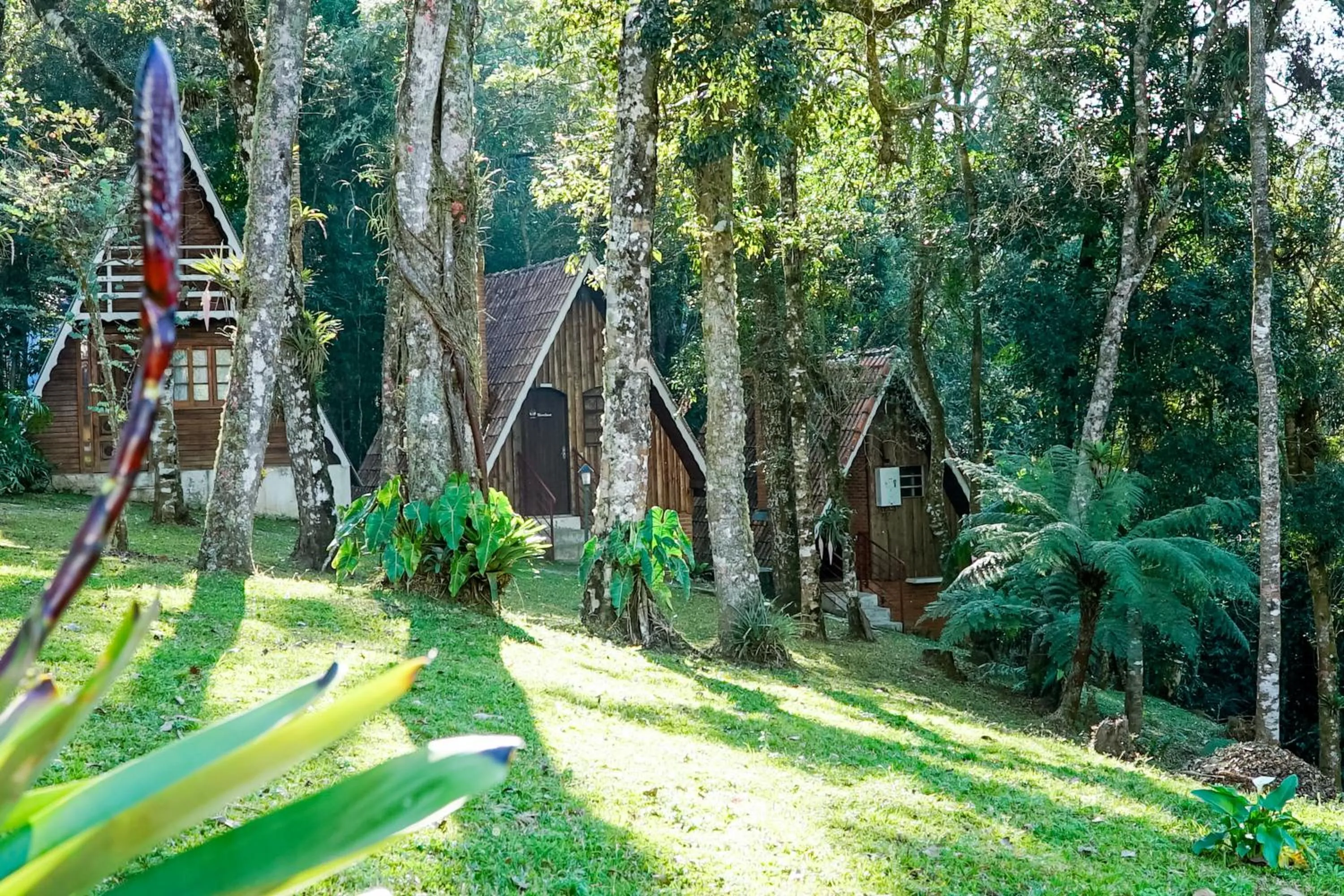 Property building in VELINN Pousada Torre Branca