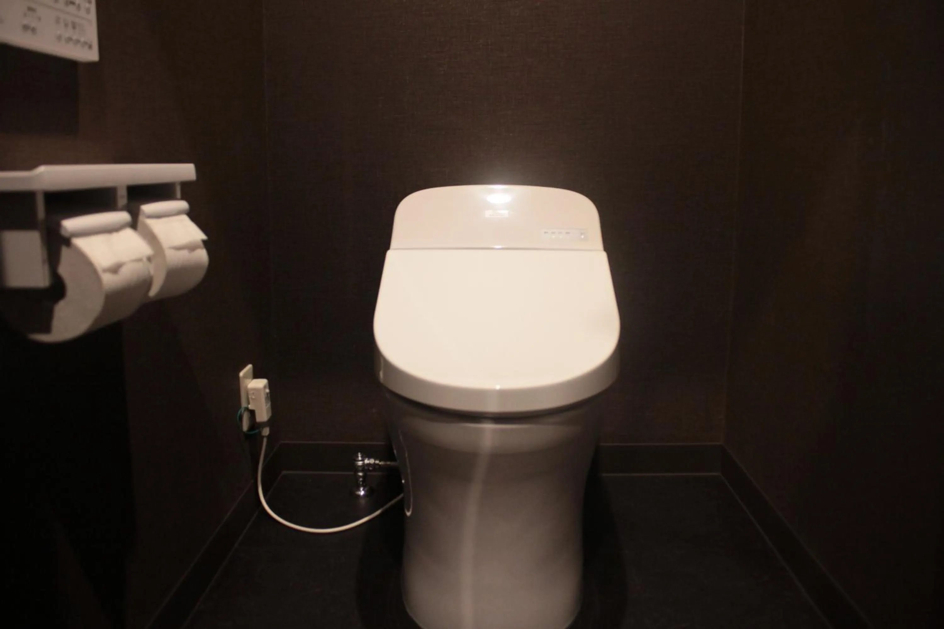 Photo of the whole room in Tokiwa Ryokan