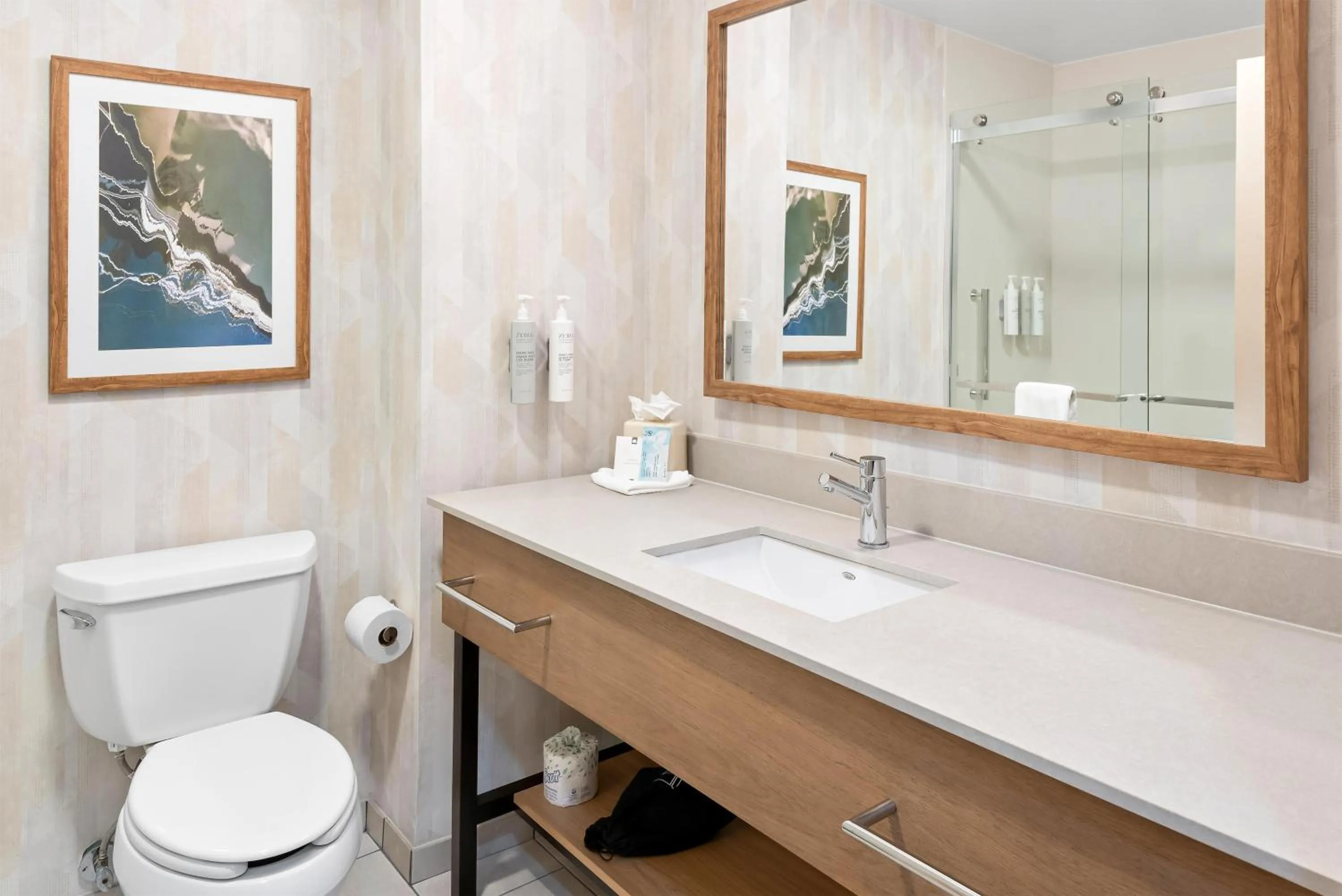 Bathroom in Hampton Inn Gainesville-Haymarket