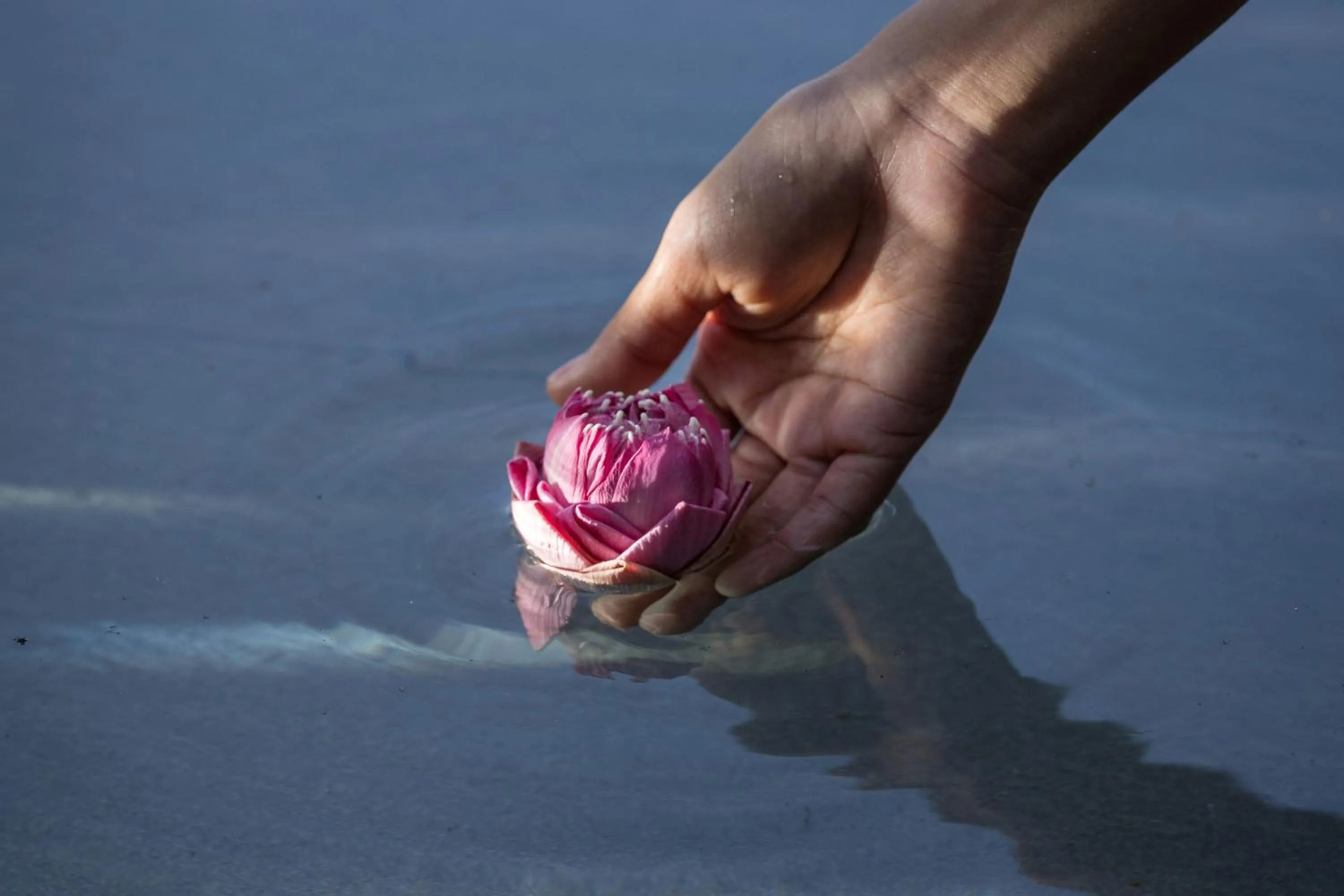 Property building in Avista Hideaway Phuket Patong - MGallery