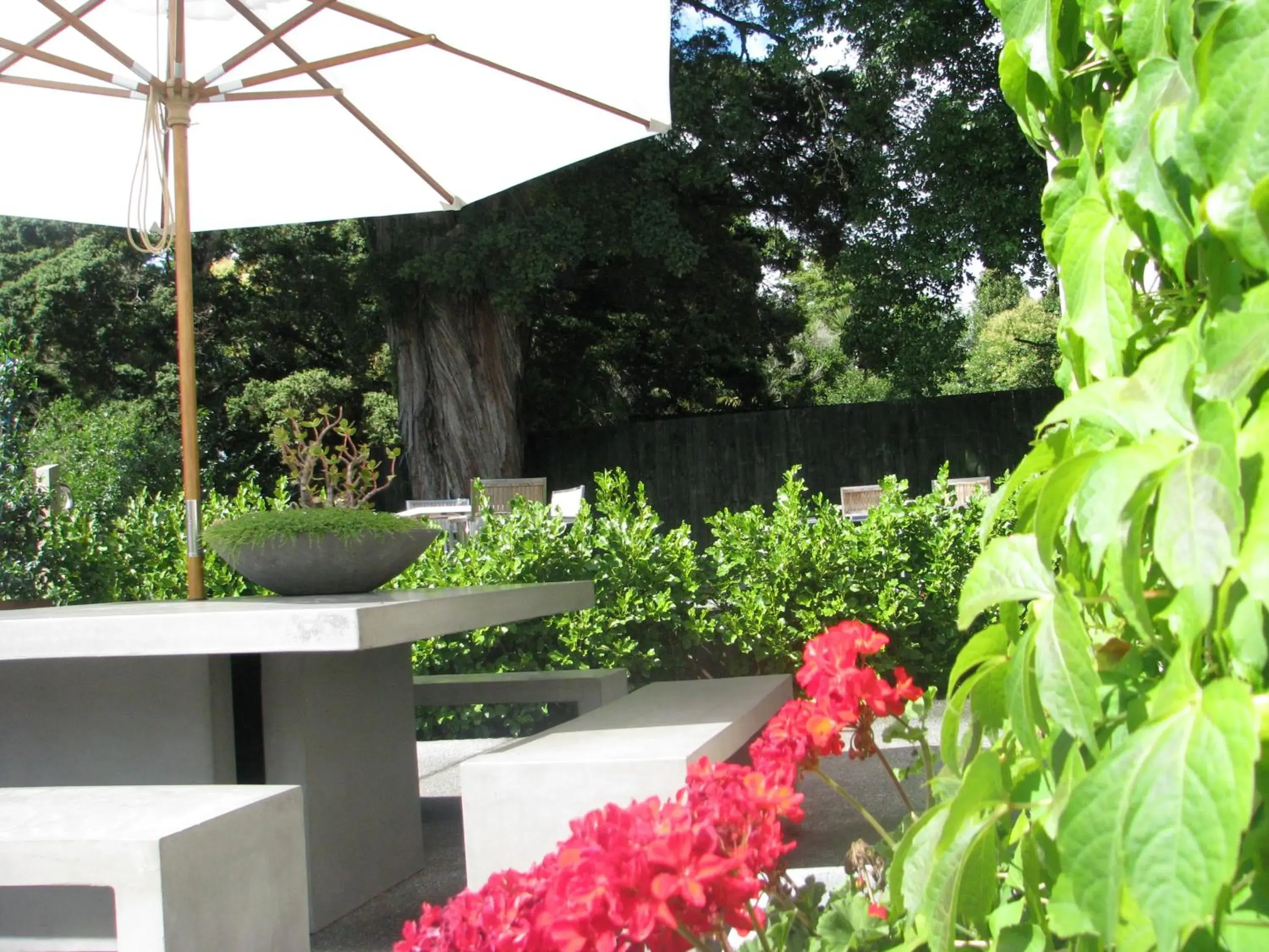 Garden in Bridgehouse Lodge Garden in Bridgehouse Lodge